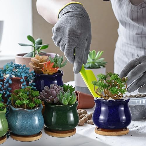 Miniatura 7 de Paquete de 24 macetas pequeñas para suculentas, macetas de cerámica para suculentas con drenaje y bandejas de bambú, mini macetas para plantas,