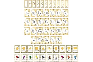 Bee Theme Educational Cards for Preschool Bee Theme Classroom Supplies