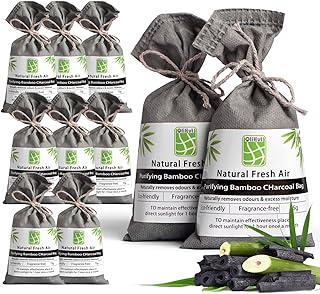 10 Pack Bamboo Charcoal Nature Fresh Air Purifying Bags,Activated Charcoal Bags Odor Absorber, Moisture Eliminator,Deodorizer, Air Fresheners For Car Smell,Closet,Shoe,large Room,Pet Room (10x75g)