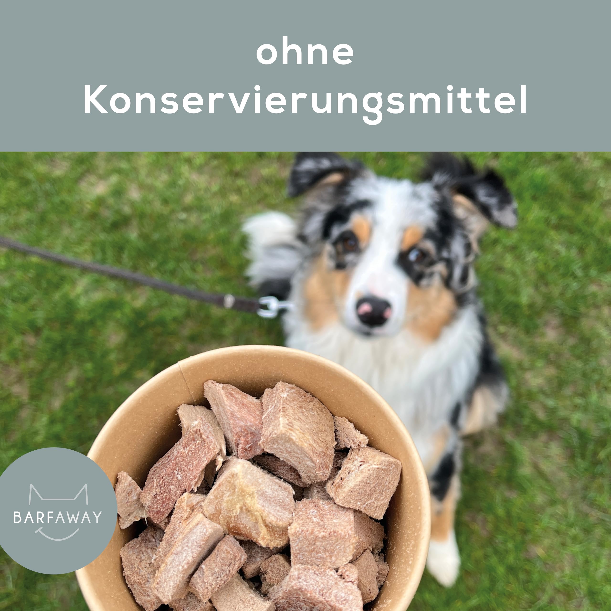 gefriergetrocknetes Hühnerbrustfilet, Premium Muskelfleisch, gesunde Hundeleckerlies, getreidefrei, zuckerfrei, 100% natürlich ohne Zusätze, Deutsche Herstellung, 500 g