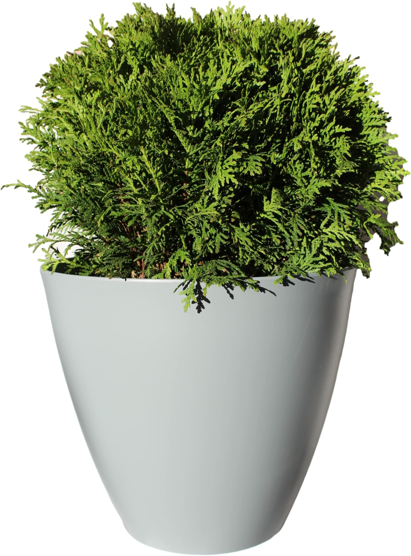 Verdant LivingOutdoor Garden Flower Planter Container - Large 8” 20cm Wide Plant Pot. High Gloss Finish. Lightweight Recycled Plastic. Indoor/Outside. For Deck, Patio, Balcony & Terrace. Matt Grey