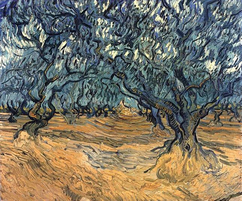 Tableau Van Gogh Olive Trees 1889 pour sublimer un grand salon chaleureux