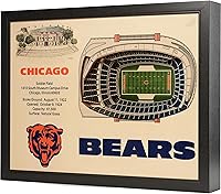 Vista 30 de YouTheFan NFL Arte de Pared StadiumView de 25 Capas