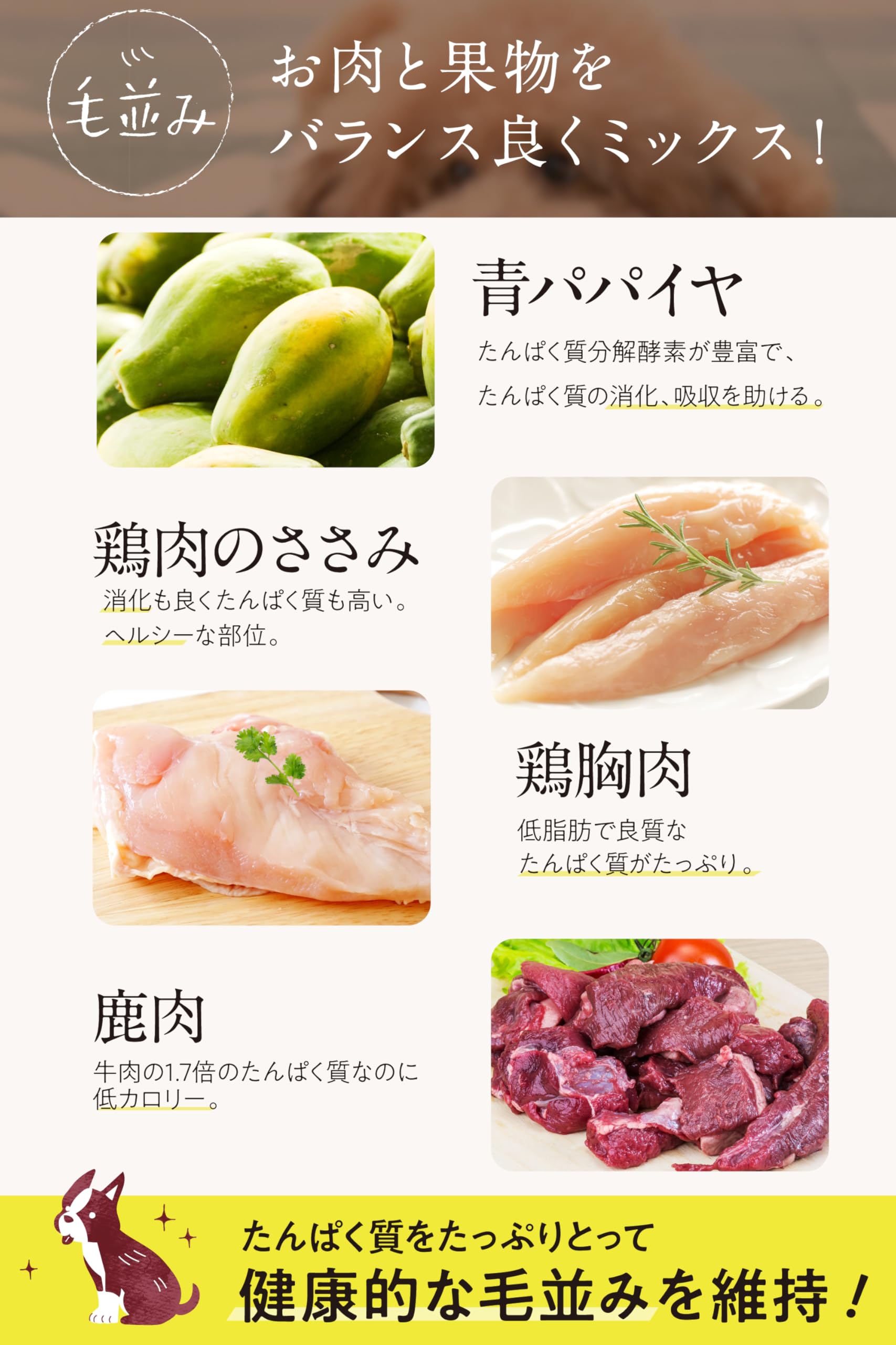 Amazon.co.jp: コノコトトモニ このこのごはん このこのふりかけ
