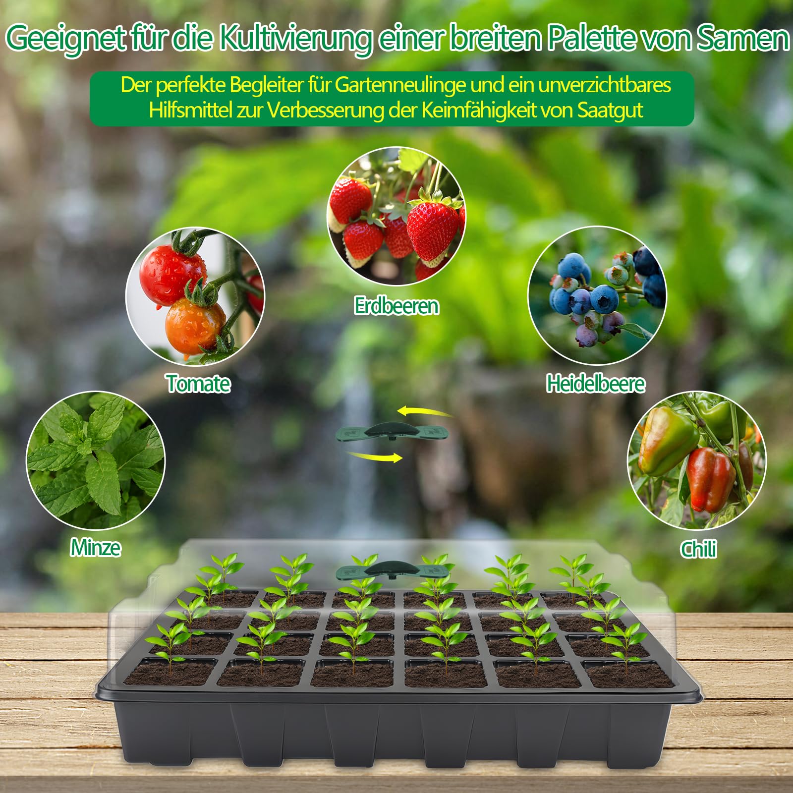 Lot de 5 petites serres de culture à 120 cellules - Kit de culture - Étiquettes pour plantes et outils - Pour l'extérieur et l'intérieur