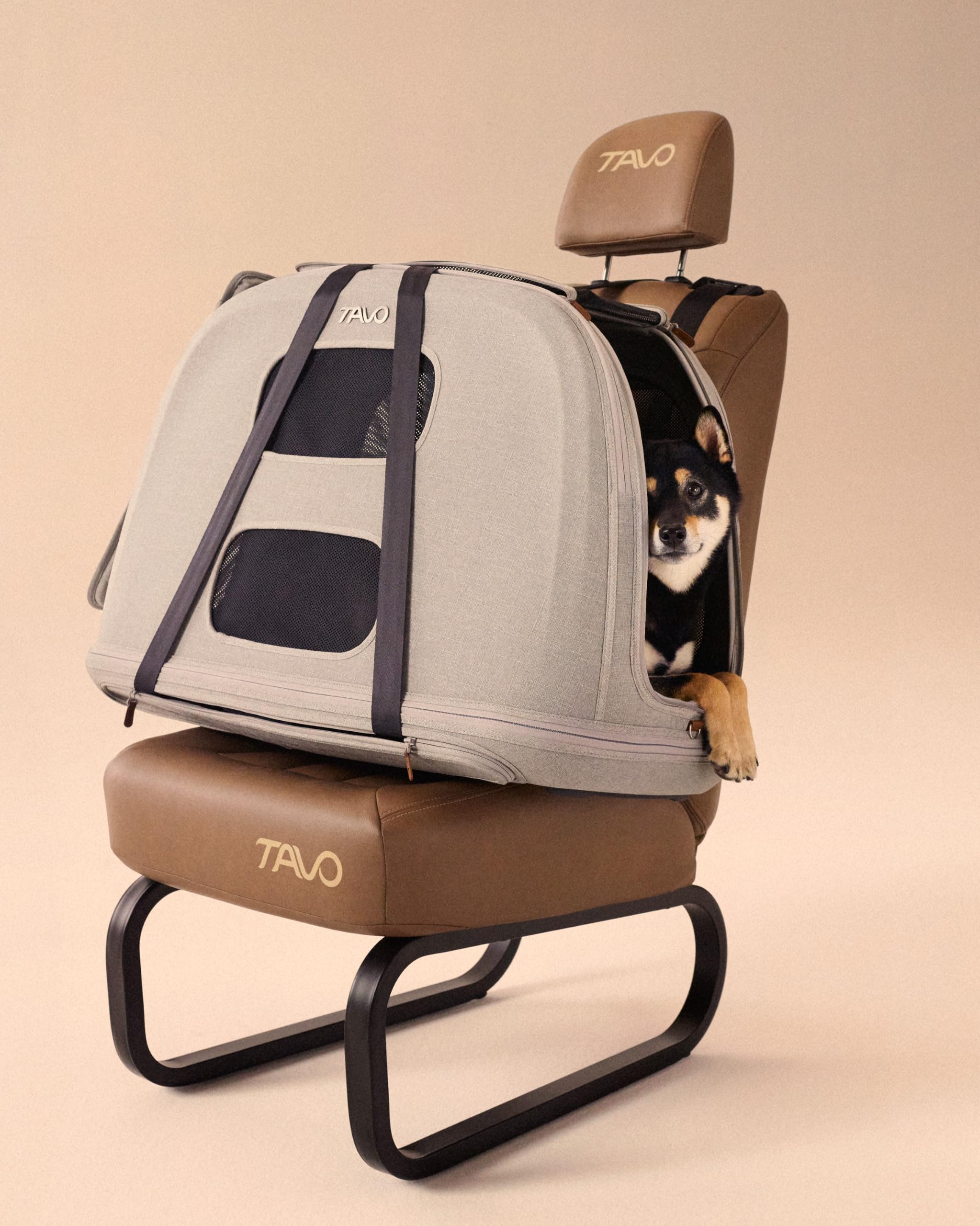 Tavo Crispin - Transportín grande para mascotas – Caja de transporte para perros y gatos, ISOFIX y fijación Top-Tether, ventilación de malla de 360°, plegable, 2 colchones lavables, ónix
