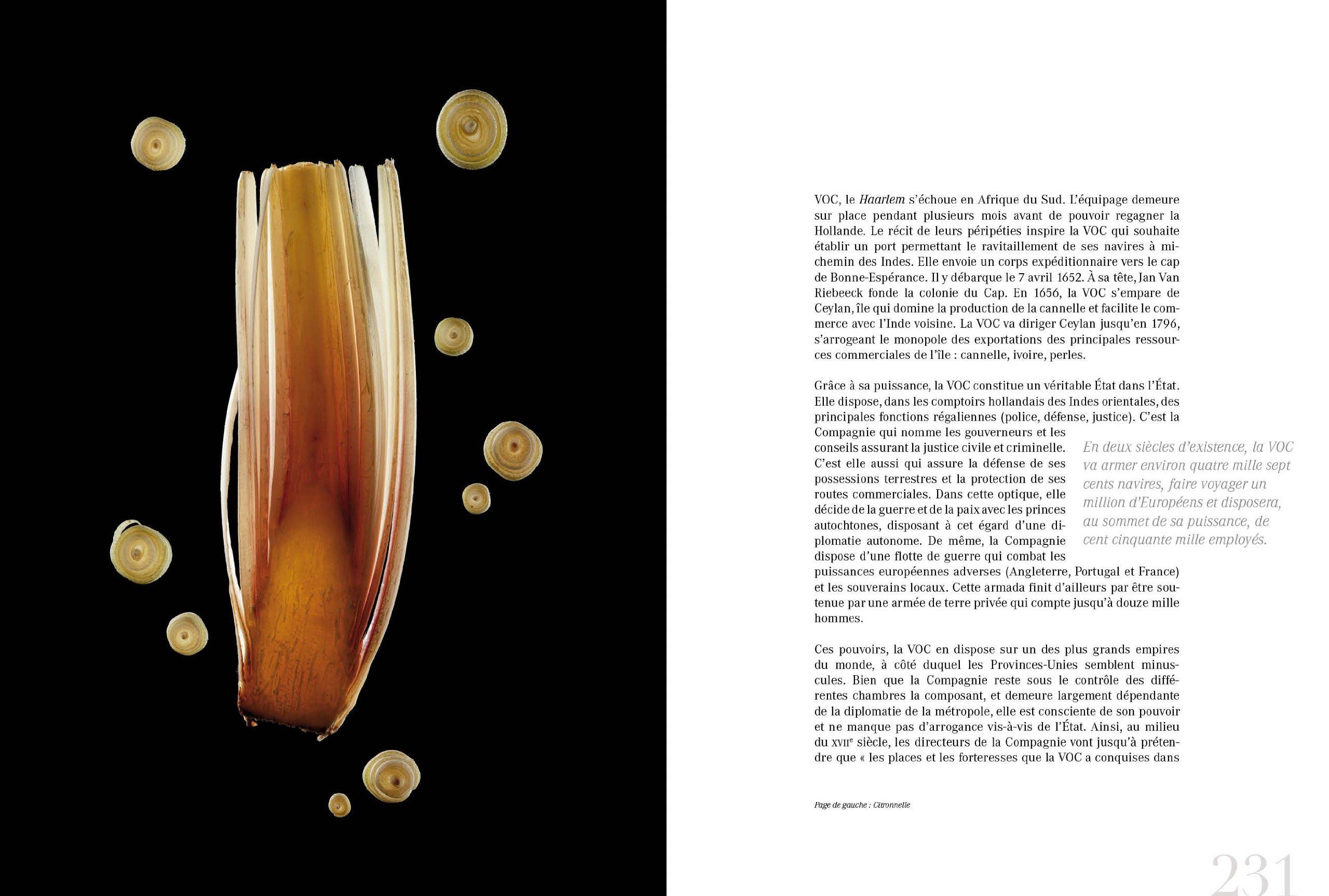EPICES ET ROELLINGER