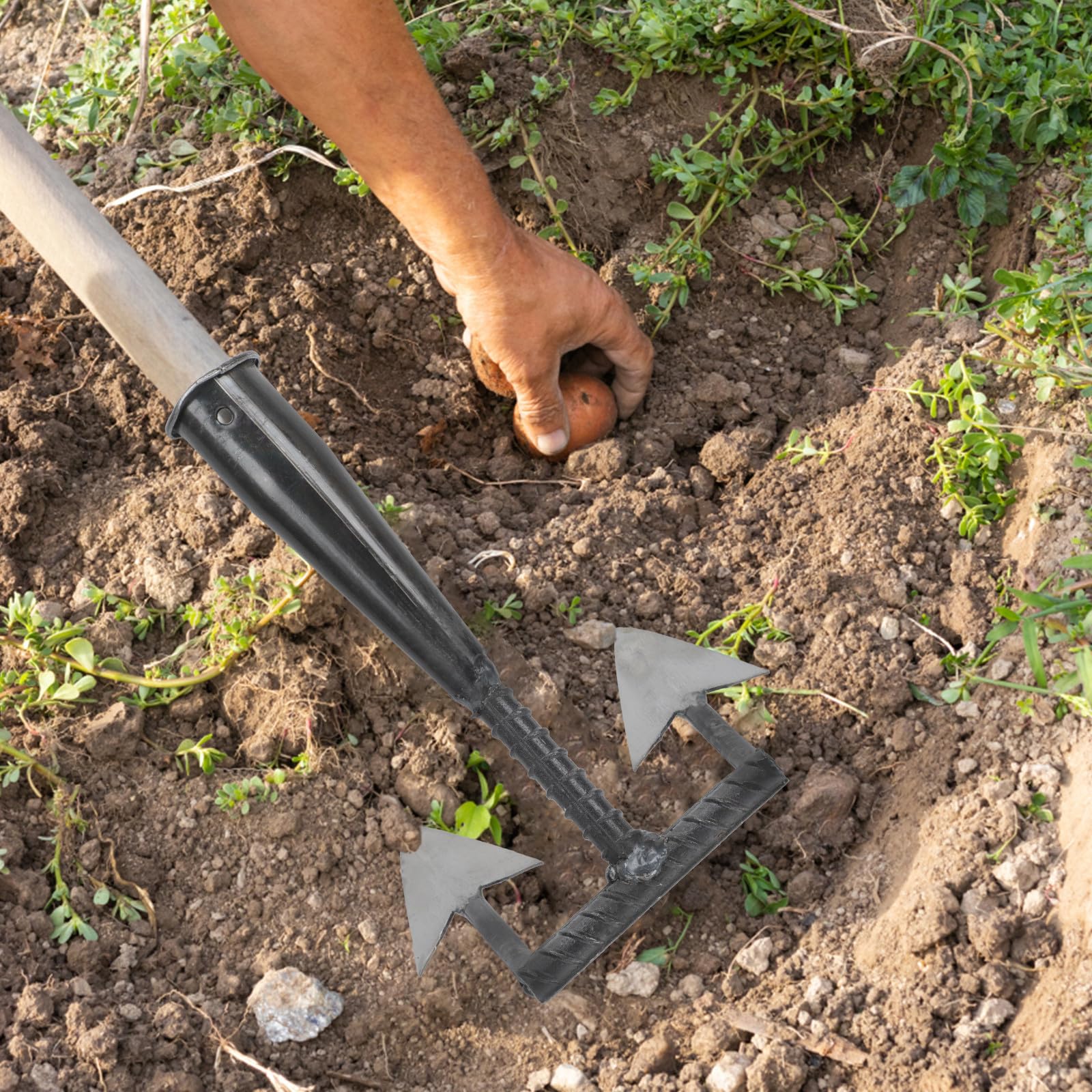 Sarchiatore Triangolare da Giardino in Acciaio al Carbonio Argento | Sarchiatore per Erbacce da Giardino, Leggero e Comodo, per Giardinaggio e Lavori di Scavo nel Terreno