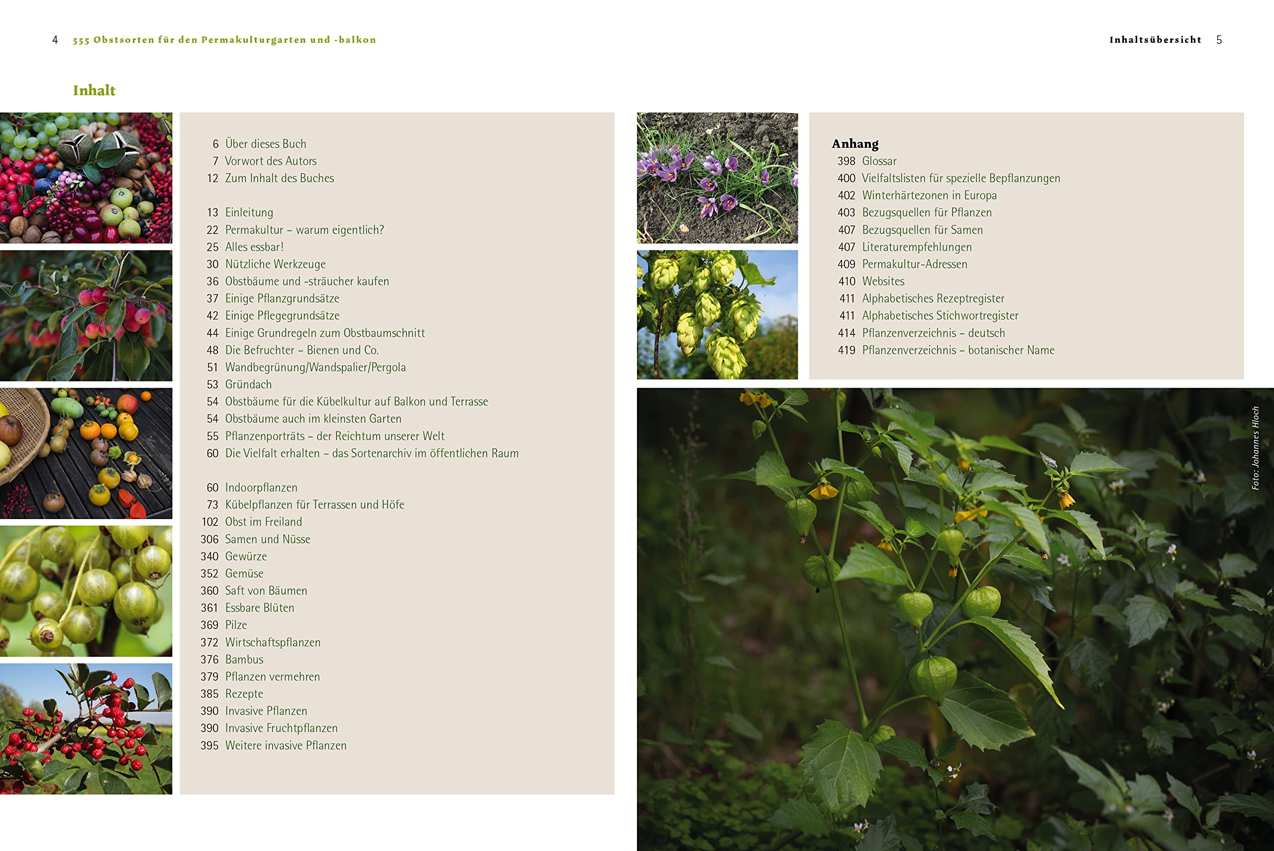 555 Obstsorten für den Permakulturgarten und -balkon: Planen. Auswählen. Ernten. Genießen. Selbstversorgung mit Bio-Obst aus dem Hausgarten und naturnahes Gärtnern