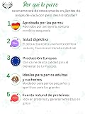 Ver la foto 2
