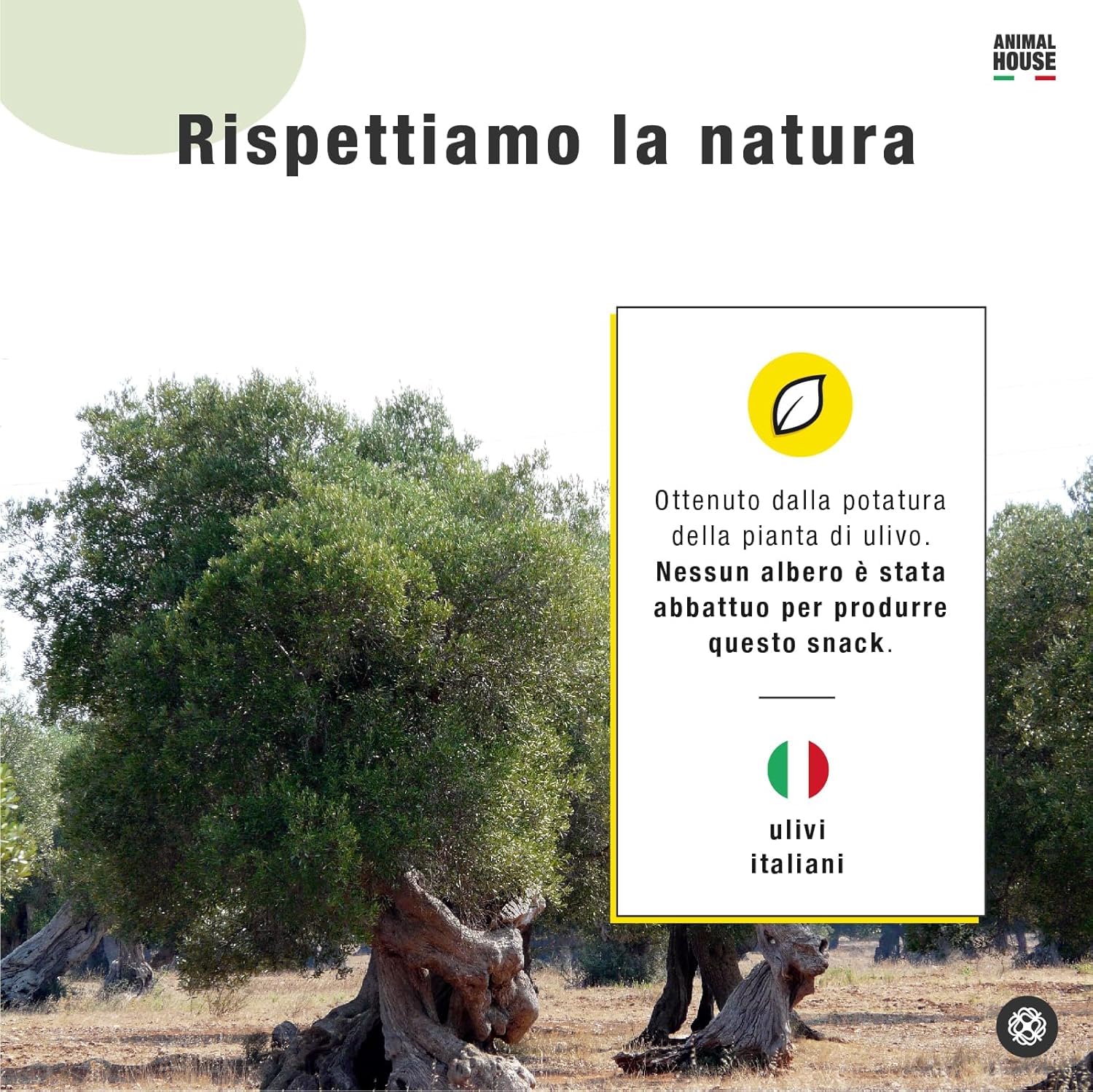 Animal House Set di 2 Legni d’Ulivo per Cani, Masticativo Naturale di Alta Qualità, Resistente, Antistress, per Igiene Orale (15-20 cm, M)