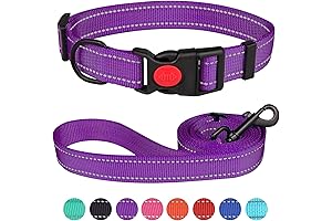 Reflective Nylon Collar and Leash Set for Safe and Comfortable Dog Walks