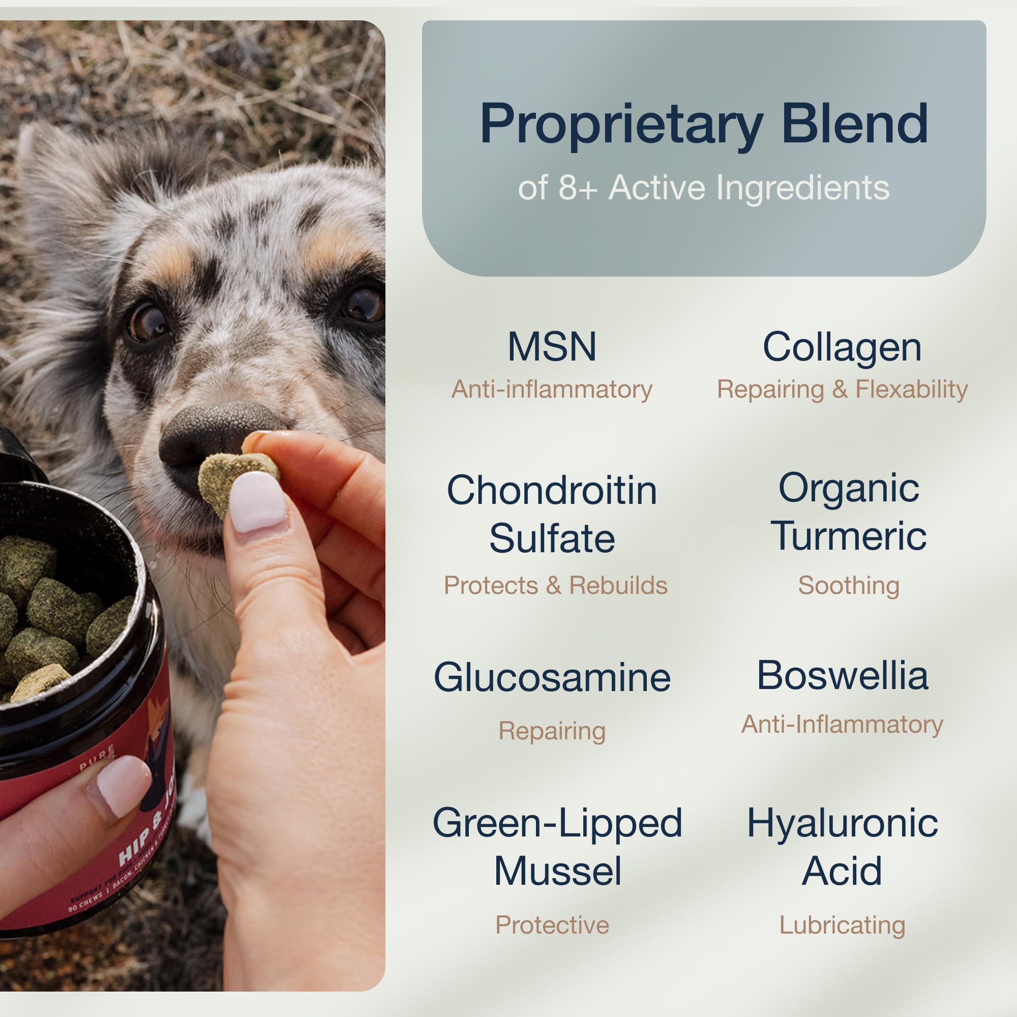 Pure Dogs Hip & Joint Dog Chews - Glucosamine Chondroitin & Green Lipped Mussel for Joint Pain Relief, Function & Mobility, Gut & Digestive Support - for Large & Small Breeds - 90 Chews - image 4