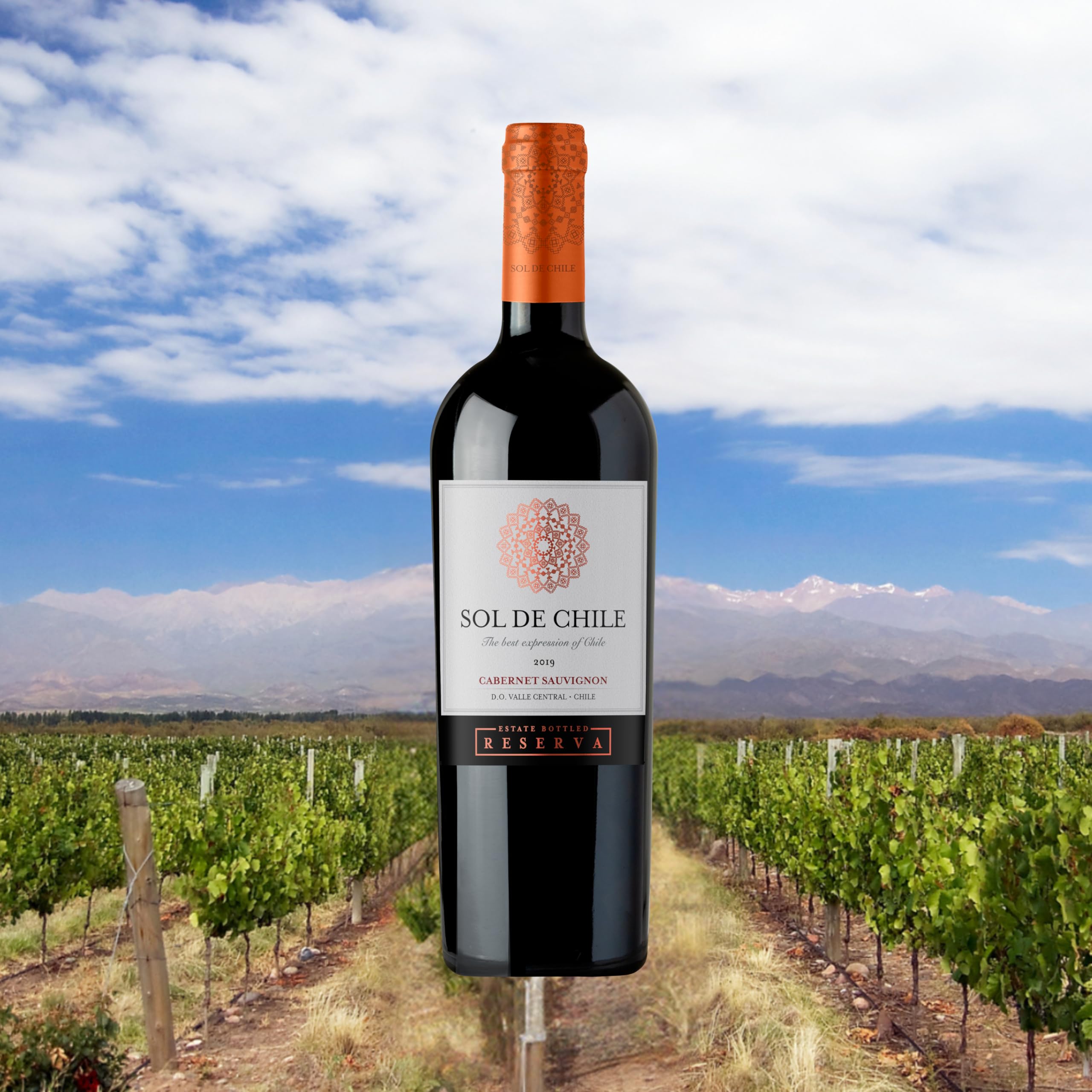 Vinho Tinto Chileno Sol de Chile Reserva Cabernet Sauvignon 750ml