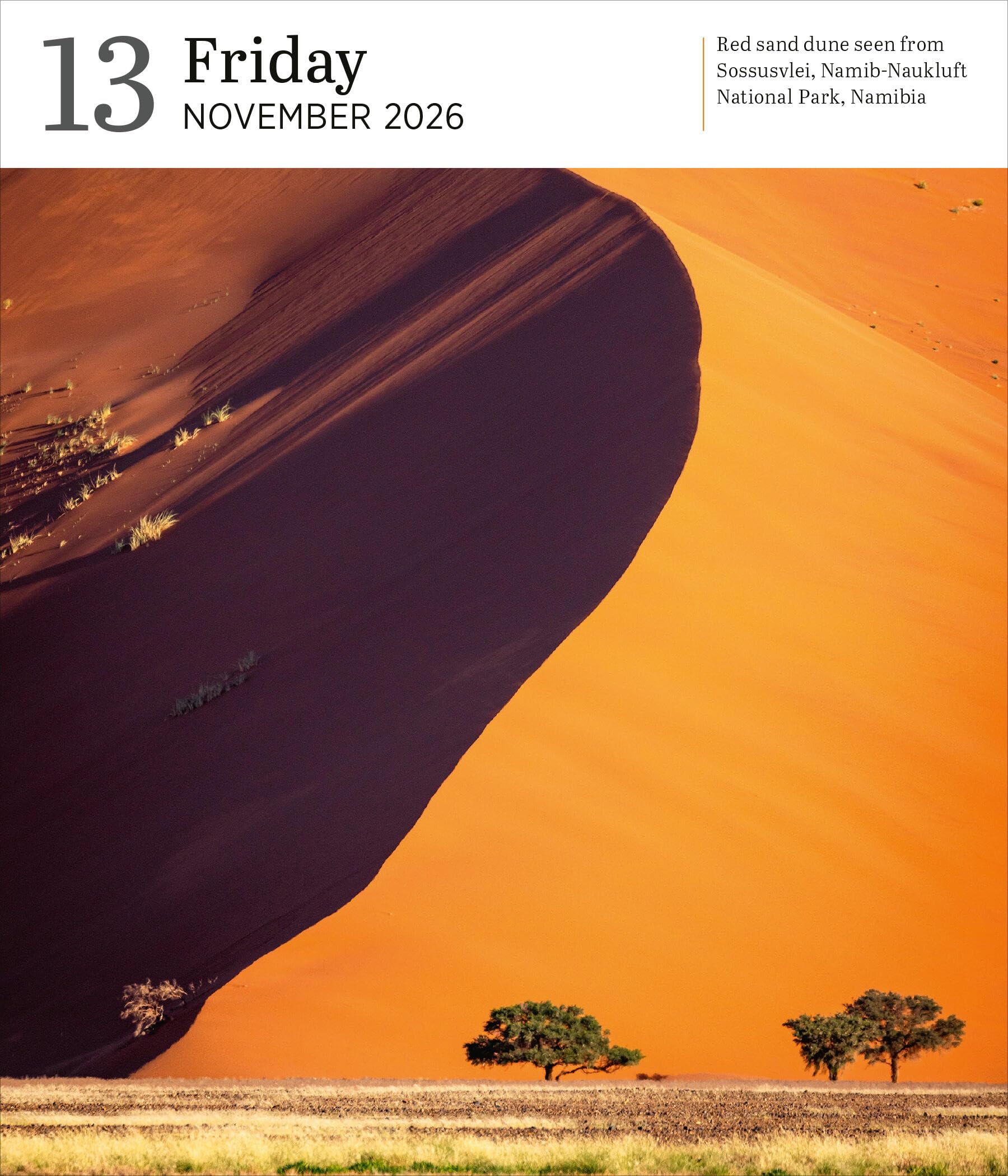 Audubon Nature Page-A-Day® Gallery Calendar 2026