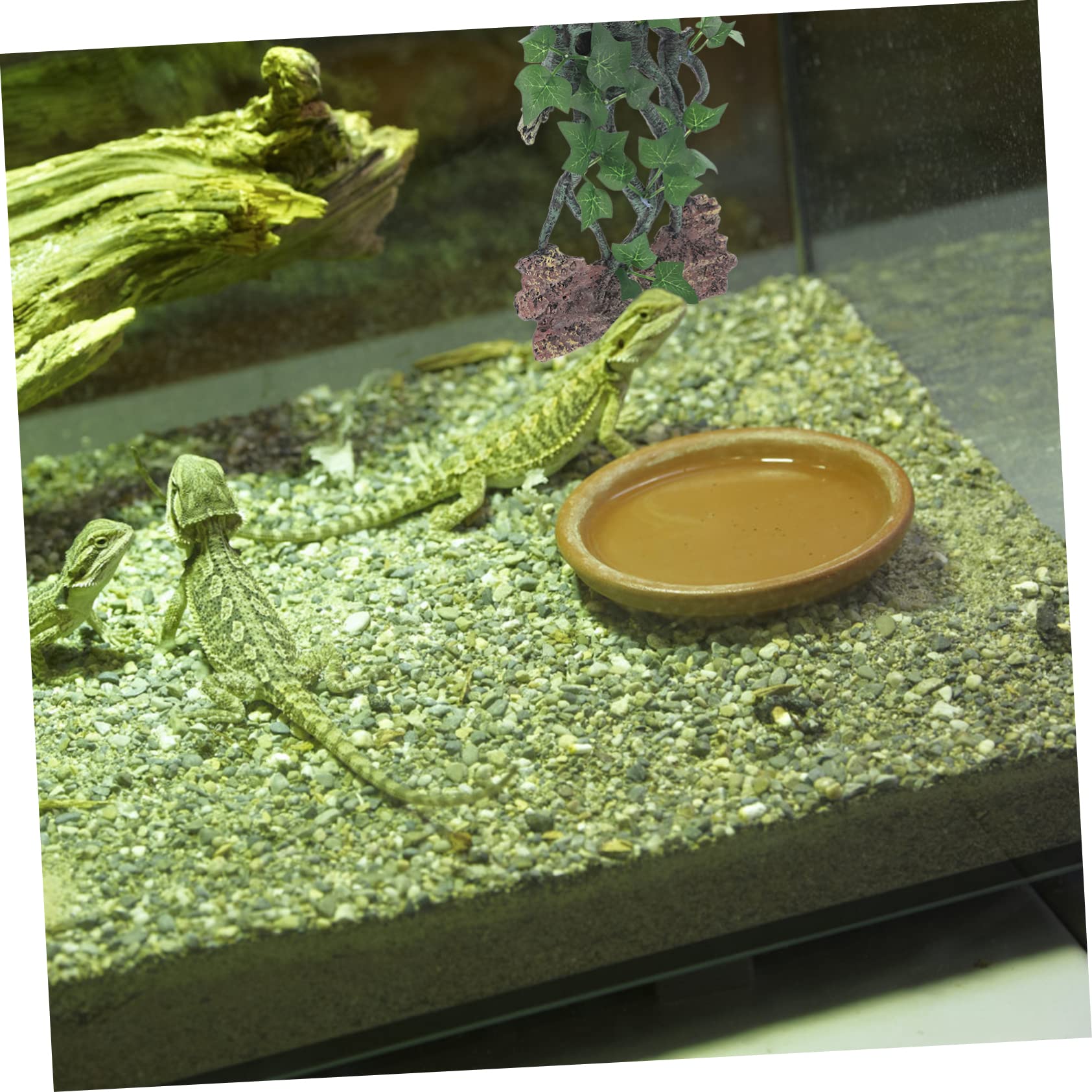 Sosoport Resina di simulazione Decorazione per vasca Decorazioni per terrari pompa ad aria dell'acquario albero finto contenitori accessori drago barbuto accessori per rettili per l'habitat