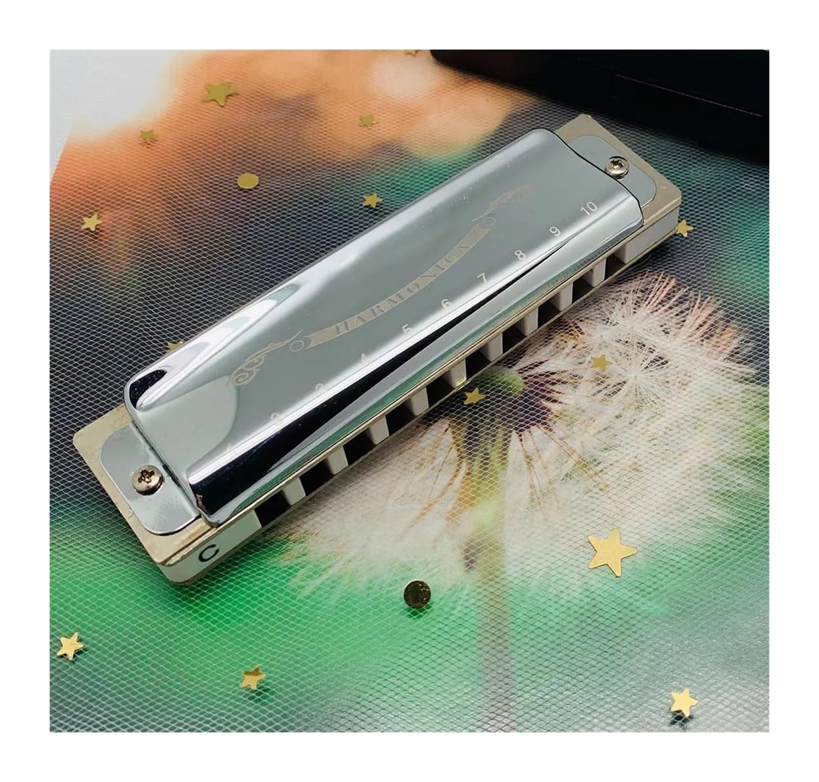 Armonica Armonica a bocca 10 fori Blues Harp Diatonica Blues Armonica a bocca Argento Armonica a bocca Diatonica Blues Tonalità di Do