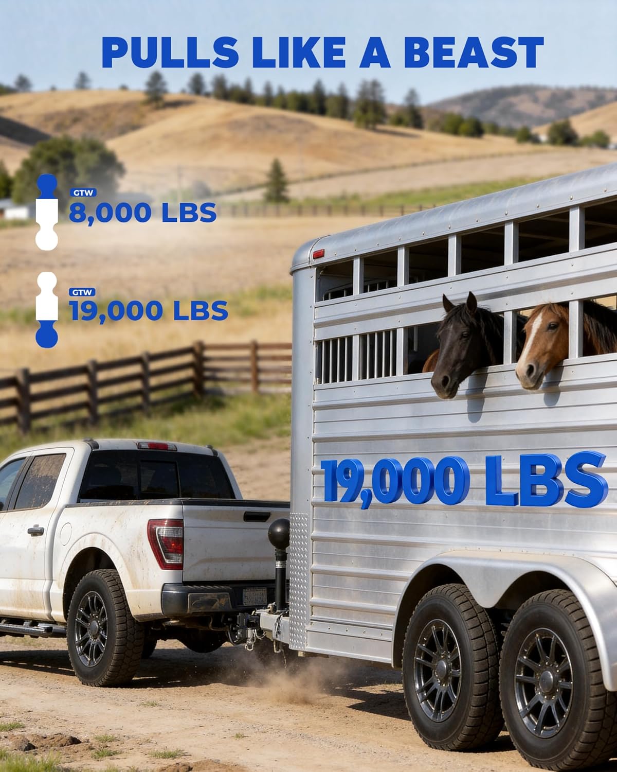 Adjustable Trailer Hitch, Heavy Duty Tow Hitch Fits 2.5" Receiver, Dual Ball (2" x 2-5/16"), 5" Drop, 19,000 GTW, with Dual Locking Pins