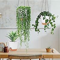 Vista 6 de GARDIFE maceta colgante, macetas colgantes de 8 pulgadas para plantas de interior y exterior, maceta con riego automático, paquete de 2 macetas