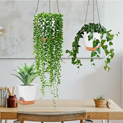 Miniatura 6 de GARDIFE Maceta colgante, macetas colgantes de 8 pulgadas para interiores. Plantas de exterior, maceta de riego automático, paquete de 2 macetas
