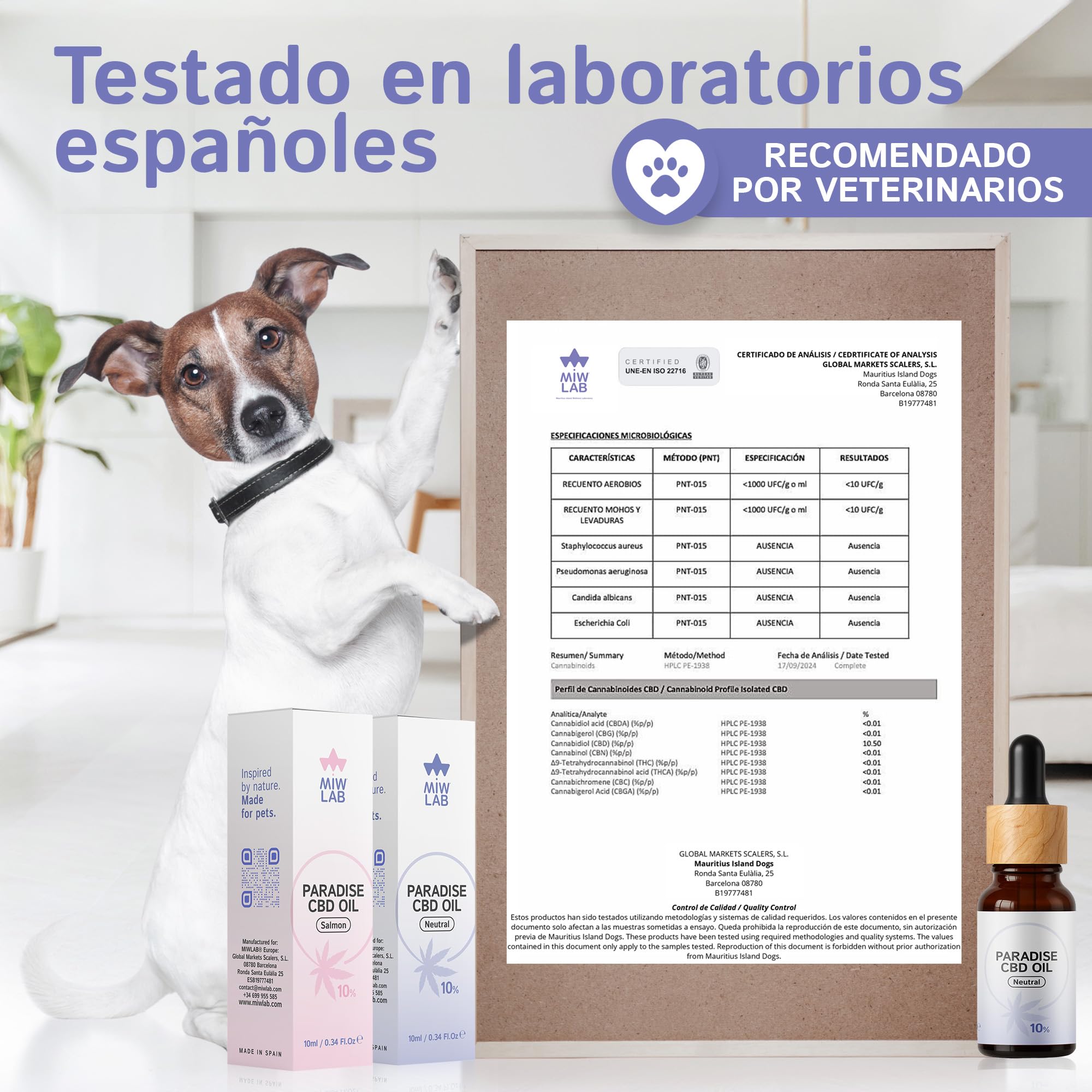 Paradise Aceite 10% CBD Relajante Natural para Gatos y Perros Hecho en España 240 Gotas Calmantes con Cannabidiol Tranquilizante de Ansiedad Dolor y Recuperación del Apetito Digestión y Articulaciones