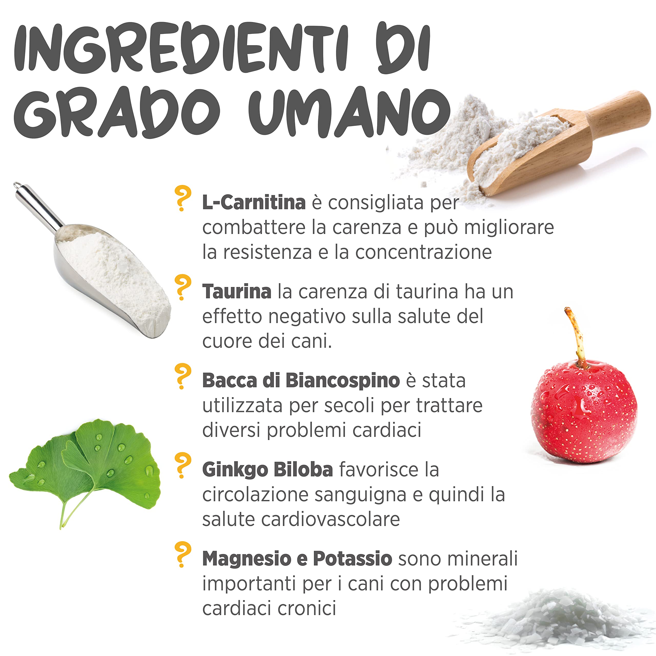 maxxipaws maxxicardio Salute Cardiaca e Cardiovascolare per Cani - Integratore in Polvere, 150g