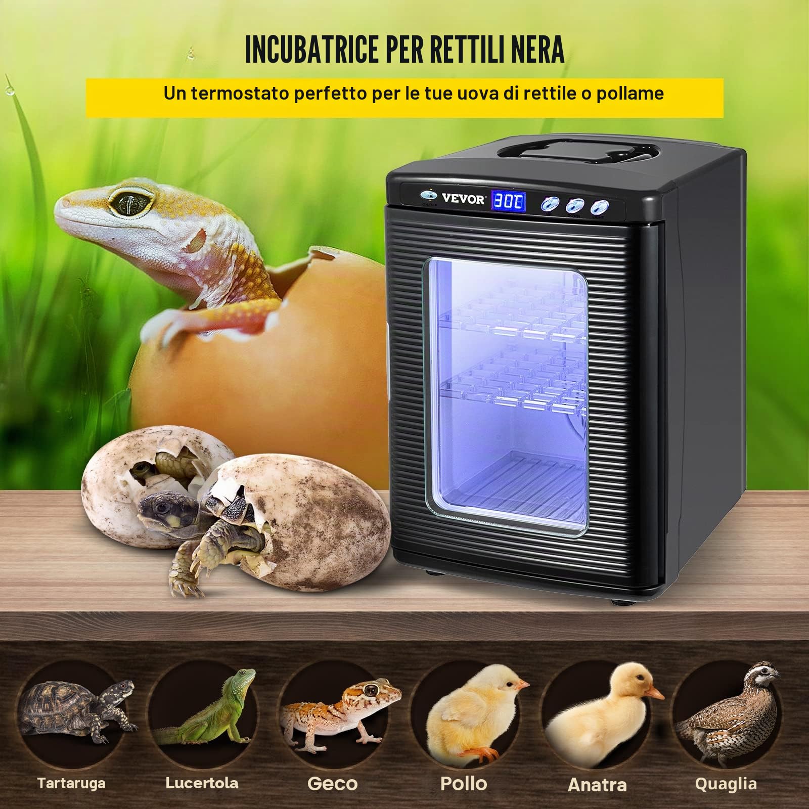 VEVOR Incubatrice per Uova di Rettili 25L, Display LED, Regolazione Temperatura 5-42℃, Riscaldamento e Raffreddamento, 220V, per Laboratorio e Cova Uova