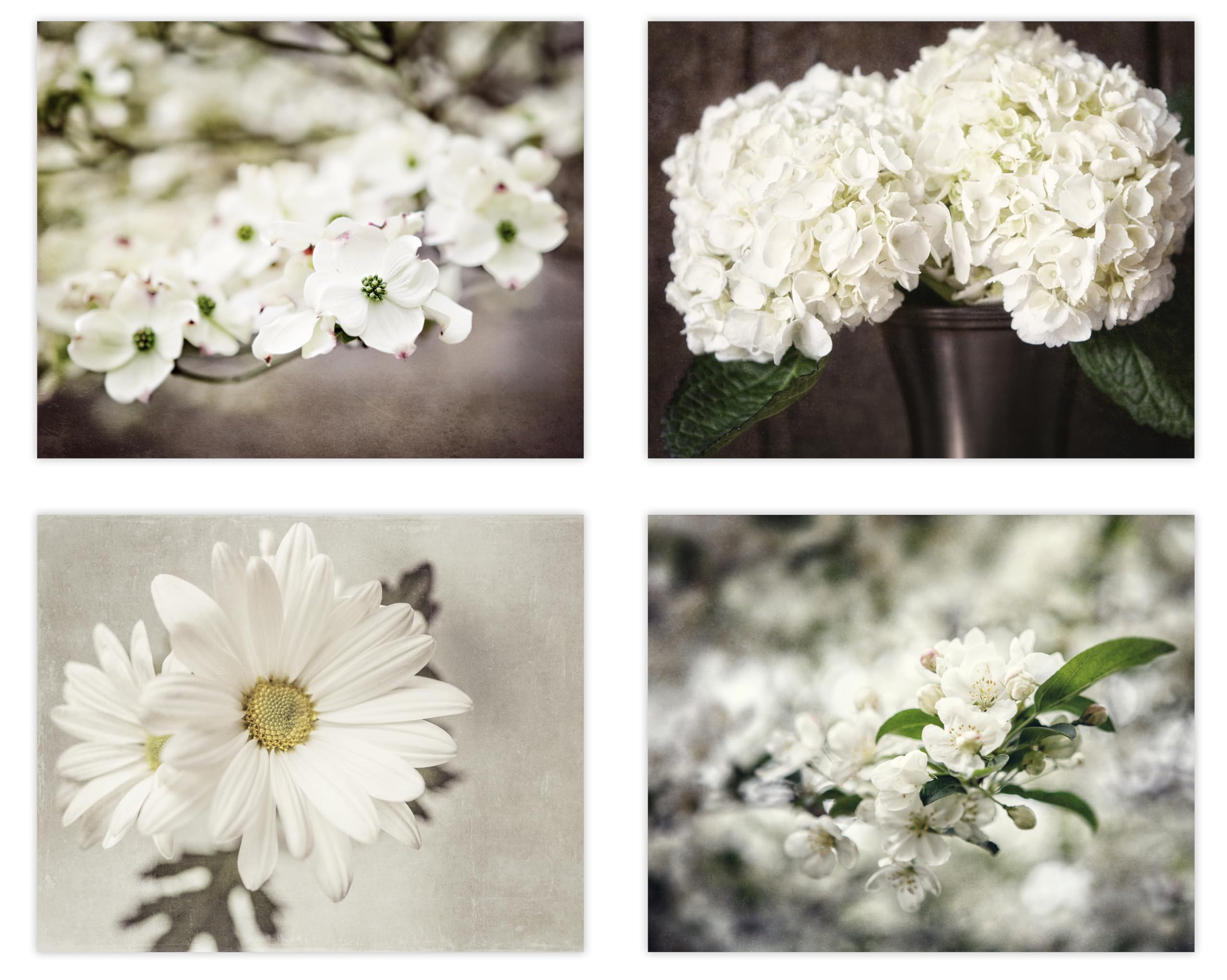 LISA RUSSO FINE ART - Shabby Chic Beige Brown Off White Flower Photo Prints - Set of 4 SMALL 5x7” Unframed - Botanical Art - Country Nature Floral Pictures For Bathroom, Bedroom, Nursery Wall Decor