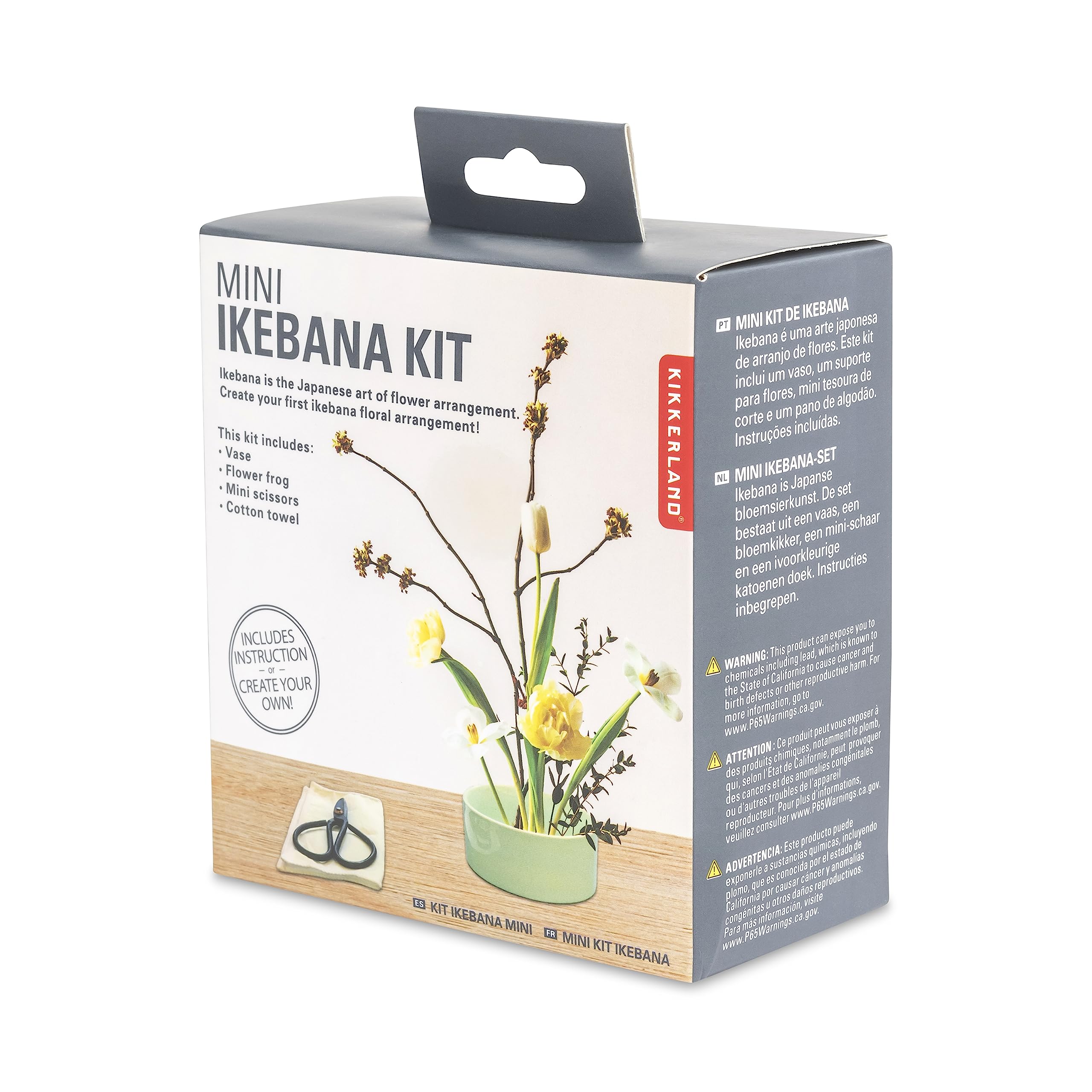 Kikkerland - Mini-Kit von Ikebana