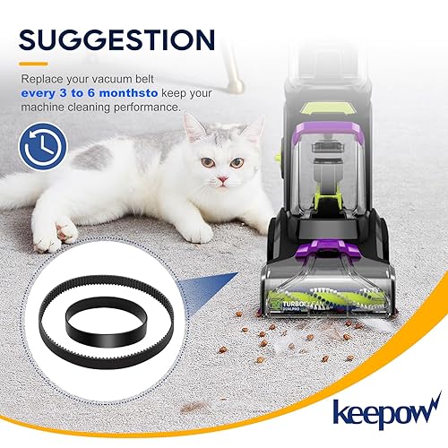 Miniatura 6 de KEEPOW Cinturón de vacío para limpiador de alfombras Bissell 3071 PowerForce PowerBrush Pet XL y limpiador de alfombras para mascotas Bissell 3067