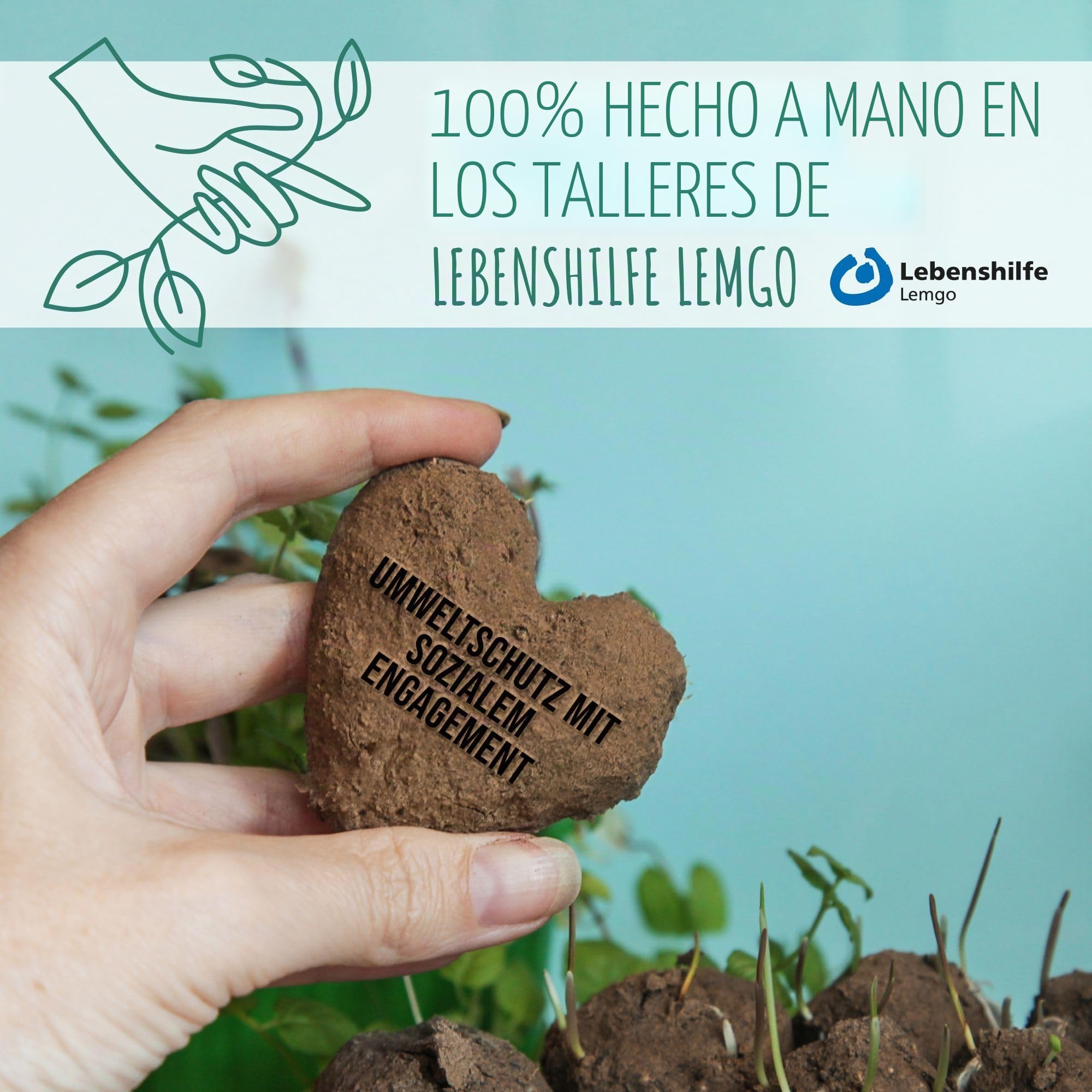 Regalos para invitados para bodas Semillas de flores Bombas de semillas - Regalo especial de boda para invitados como regalo - Haz crecer nuestro amor Juego completo (juego de 50)