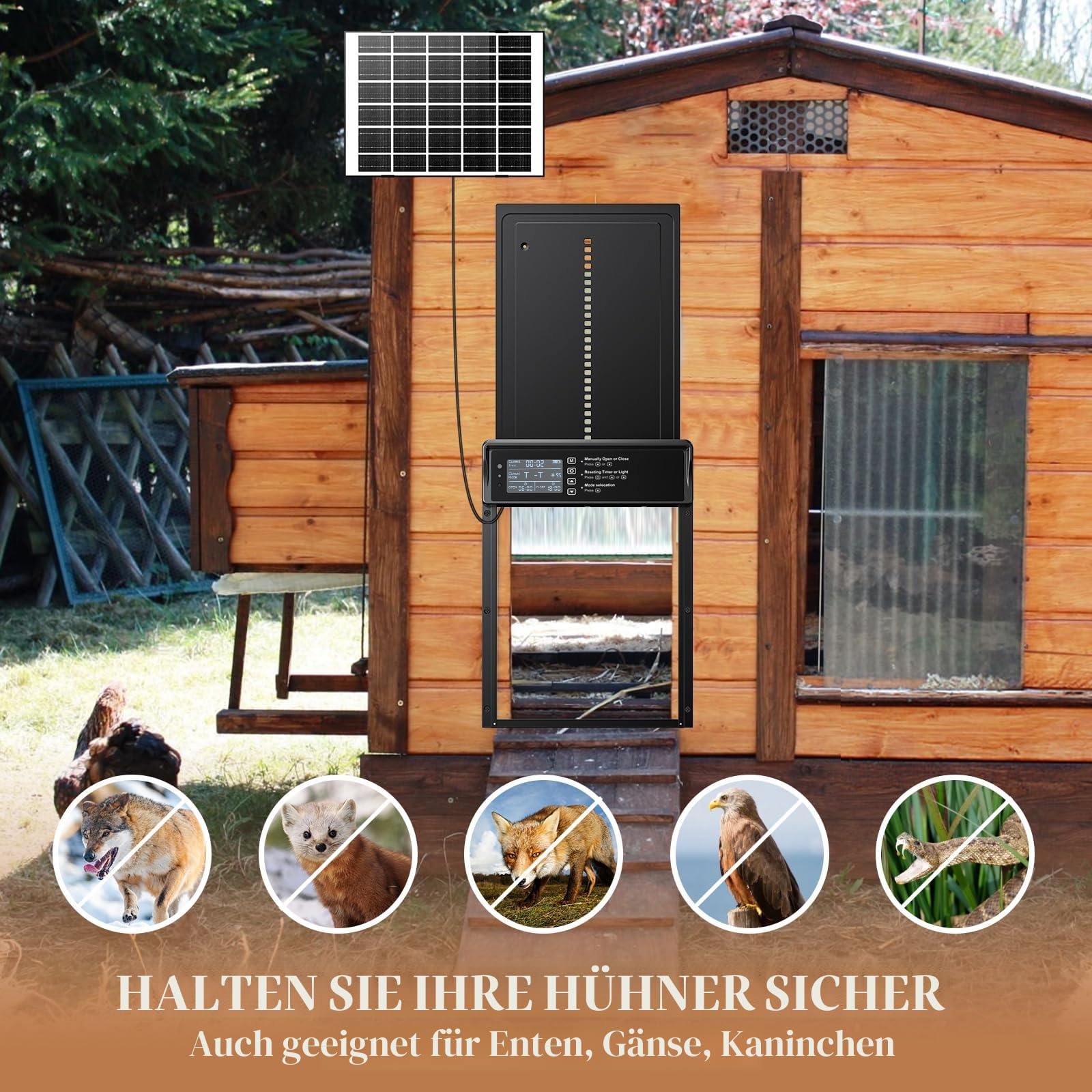 Hühnerklappe Solar - Automatische Hühnertür Aus Aluminium Mit Wasserdichtem Display, Lichtsensor, Fernbedienung, Anti-Pinch Und Timer für Sichere Hühnerhaltung