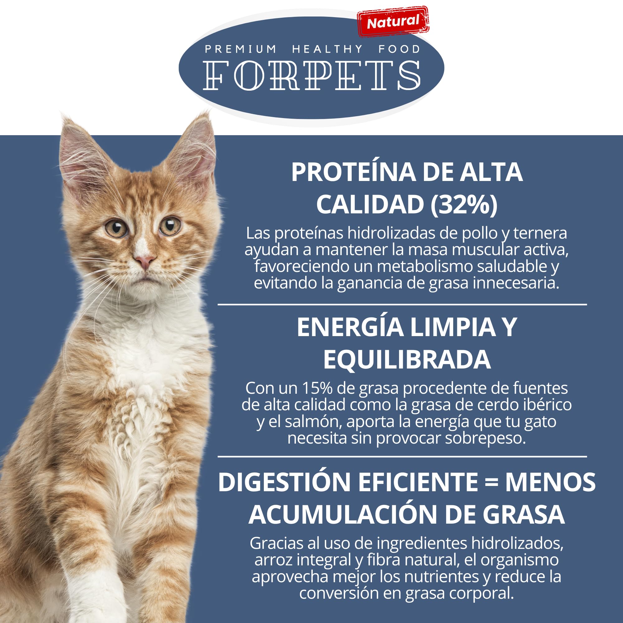Pienso para Gatos Adultos con Pollo y Salmón | Salud Urinaria, Pelo Brillante y Digestión Sensible | Alto en Proteína, Sin Gluten | Razas Pequeñas y Medianas | FORPETS Cats - 4