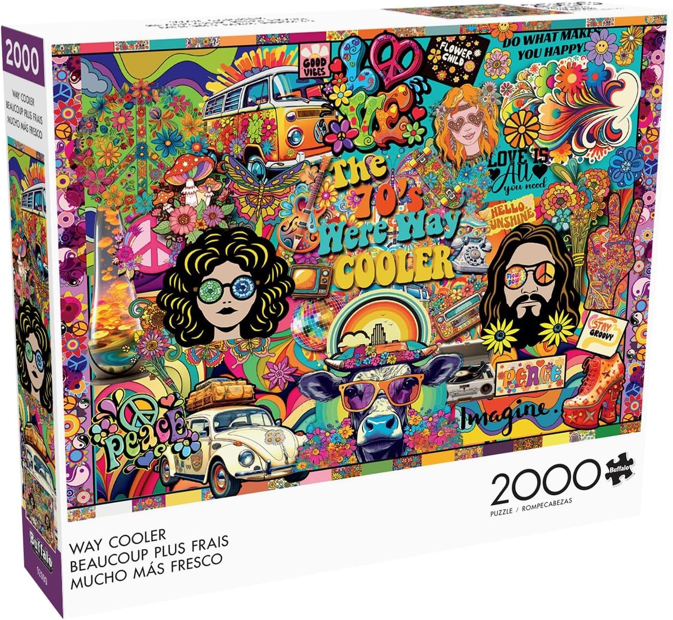 Amazon.com: Buffalo Games - Enigma Images - Way Cooler - 2000