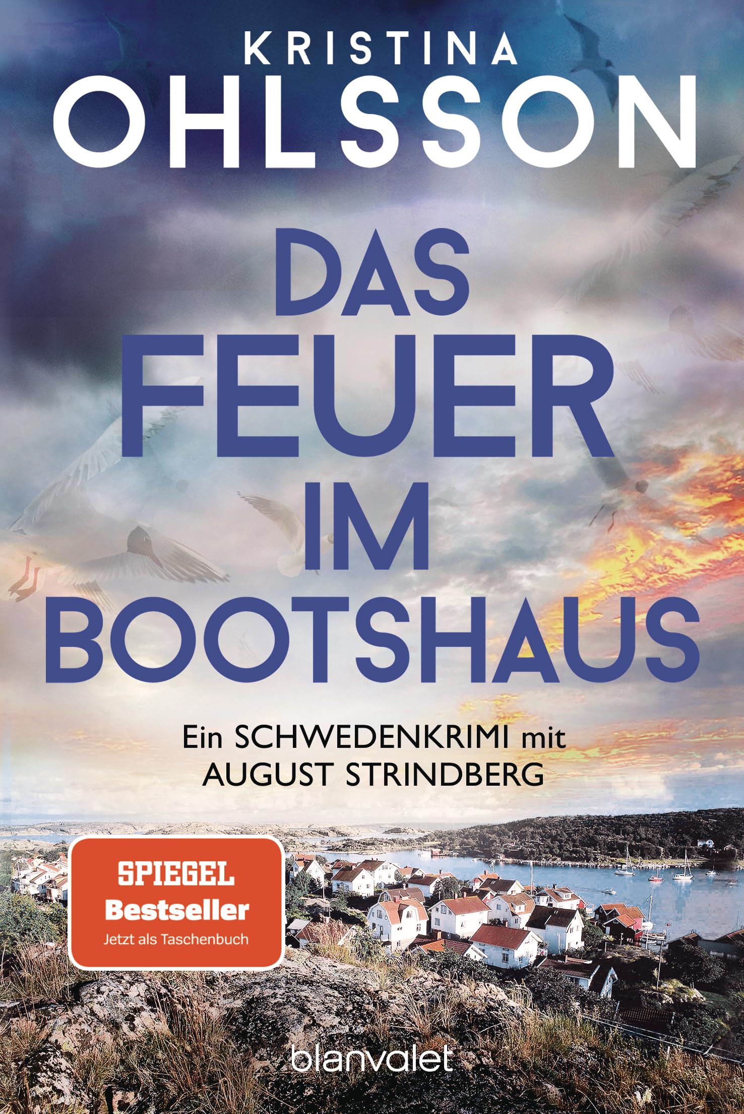 Das Feuer im Bootshaus: ein Schwedenkrimi mit August Strindberg