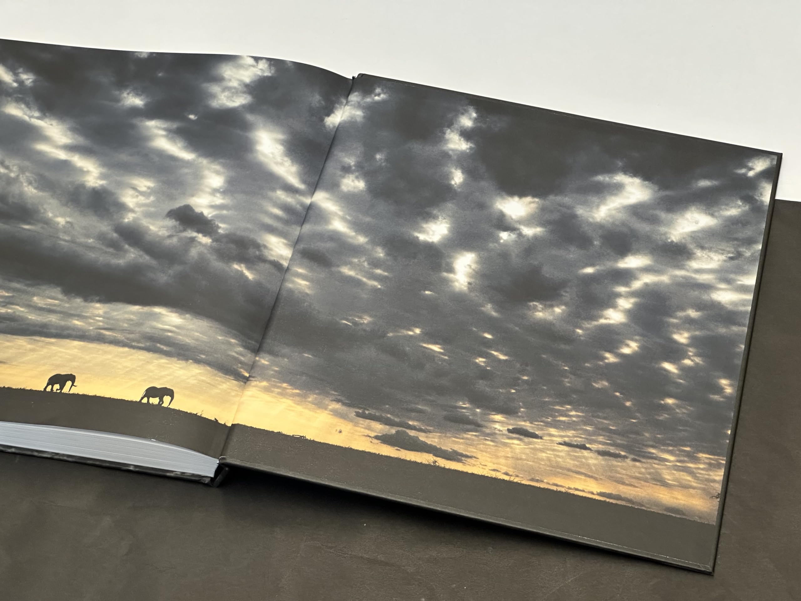 Walk the Earth: Federico Veronesi