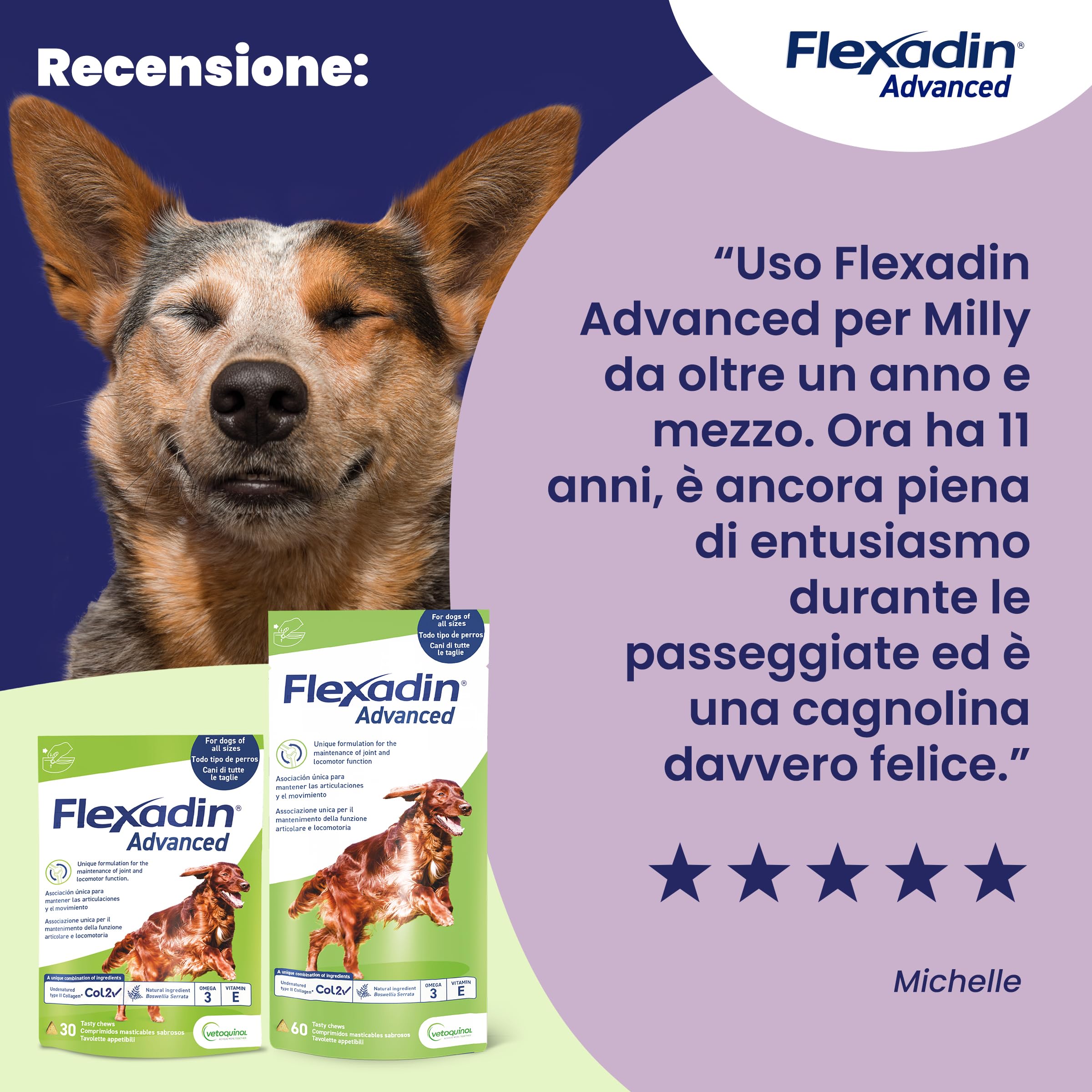 Vetoquinol Flexadin Advanced Cane | Mangime complementare per Cani | Ideale per il supporto delle articolazioni anche in corso di Osteoartrite | 60 Tavolette Appetibili, 1 tavoletta al giorno