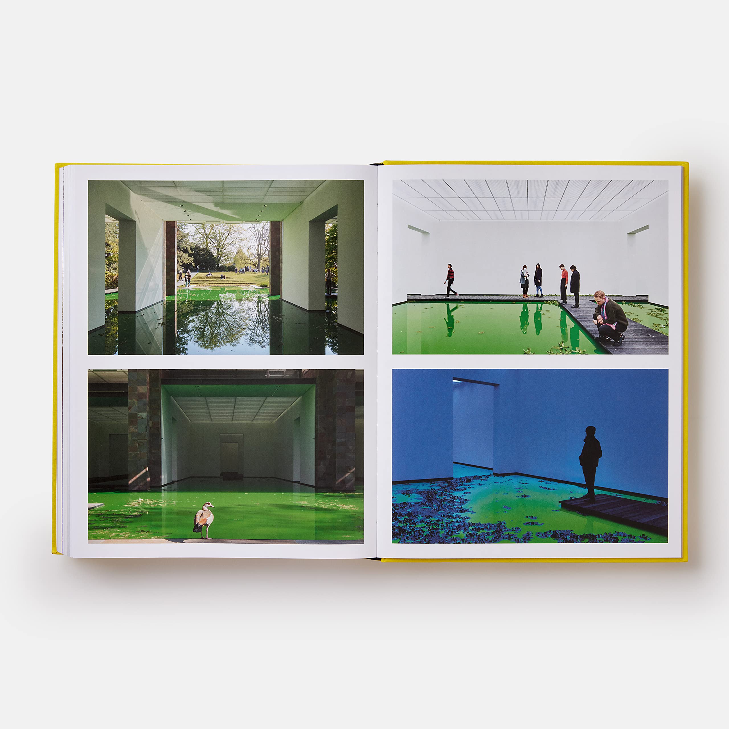 Olafur Eliasson. Experience
