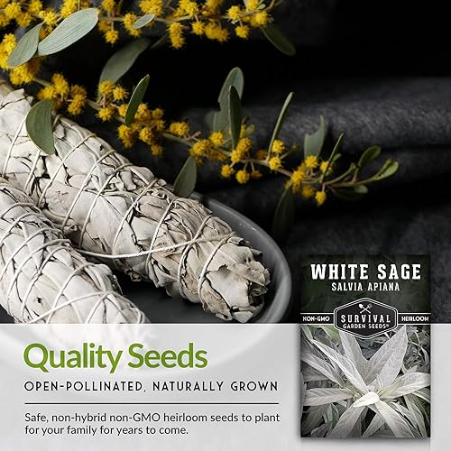 Miniatura 7 de Survival Garden Seeds - Semilla de salvia blanca para plantar - Cultiva incienso de manchas sostenibles - Paquete con instrucciones para plantar y