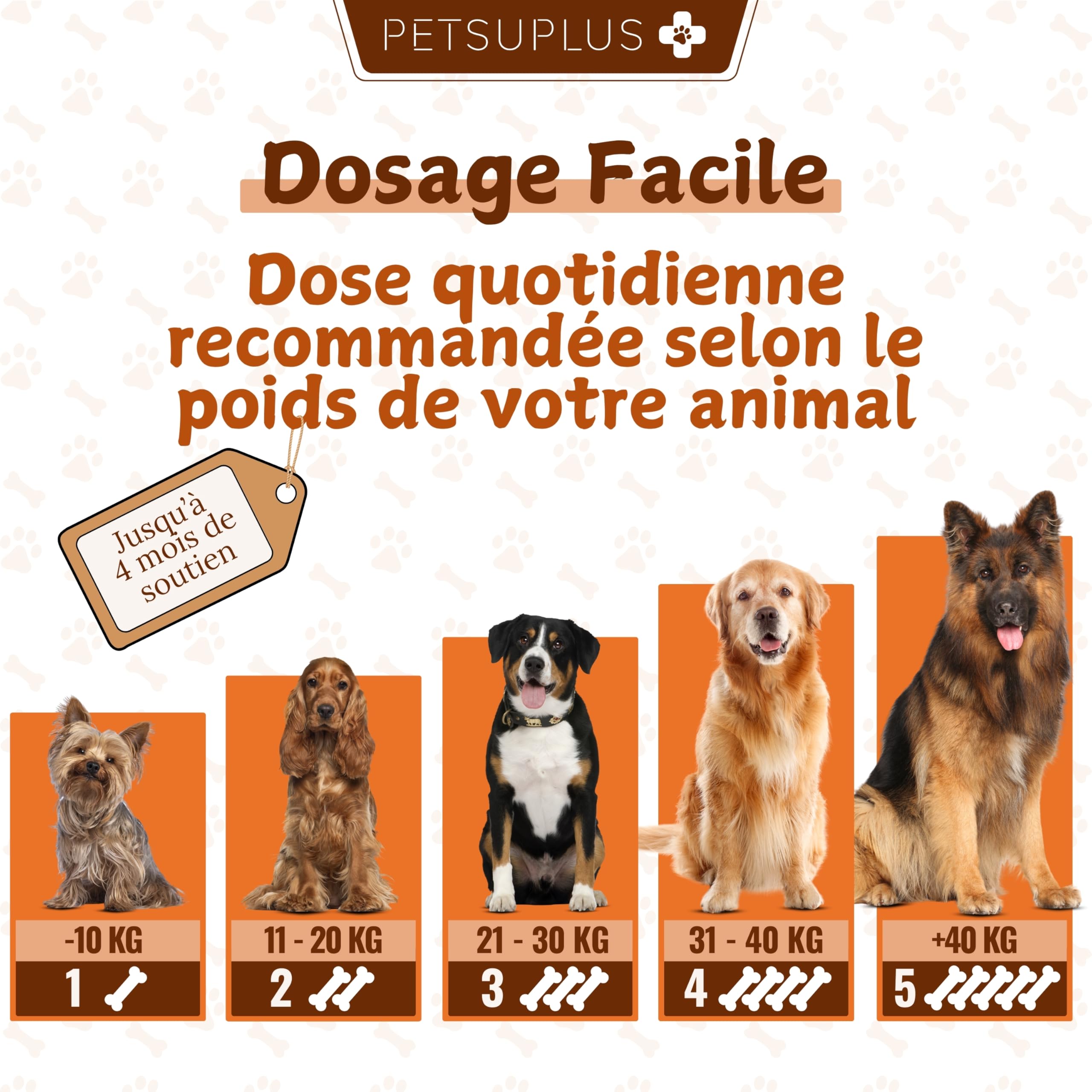 Complement Alimentaire Chien - Traitement Articulation Chiens - Moule Verte Chien, Chondroïtine, Glucosamine, MSM, Collagène, Acide Hyaluronique - Anti Arthrose - 120 Comprimés