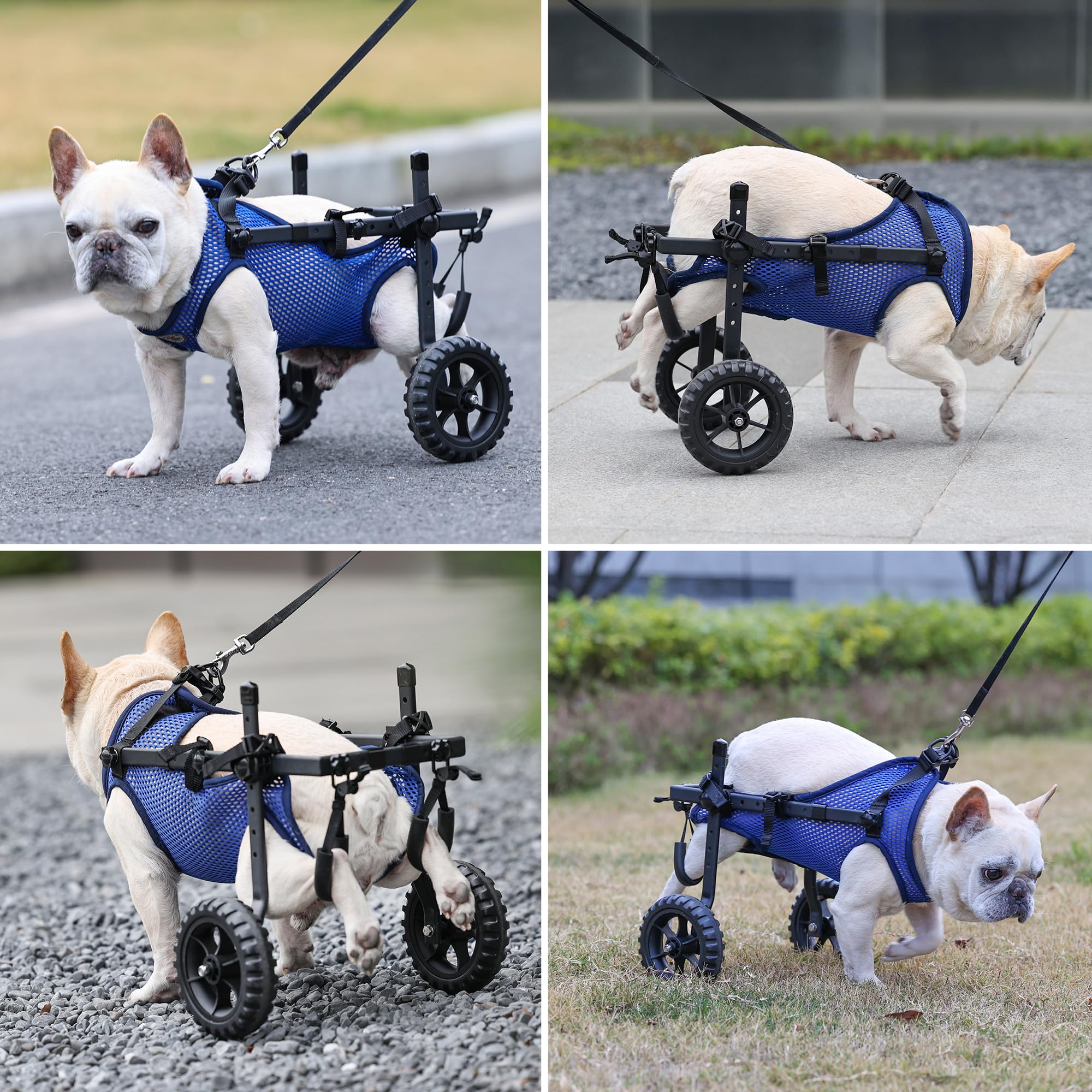 Sedia a rotelle per cani, carrello regolabile per animali domestici con ruote per gambe posteriori, tutore per gambe e supporto per fianchi, aiuta piccoli animali domestici con arti posteriori