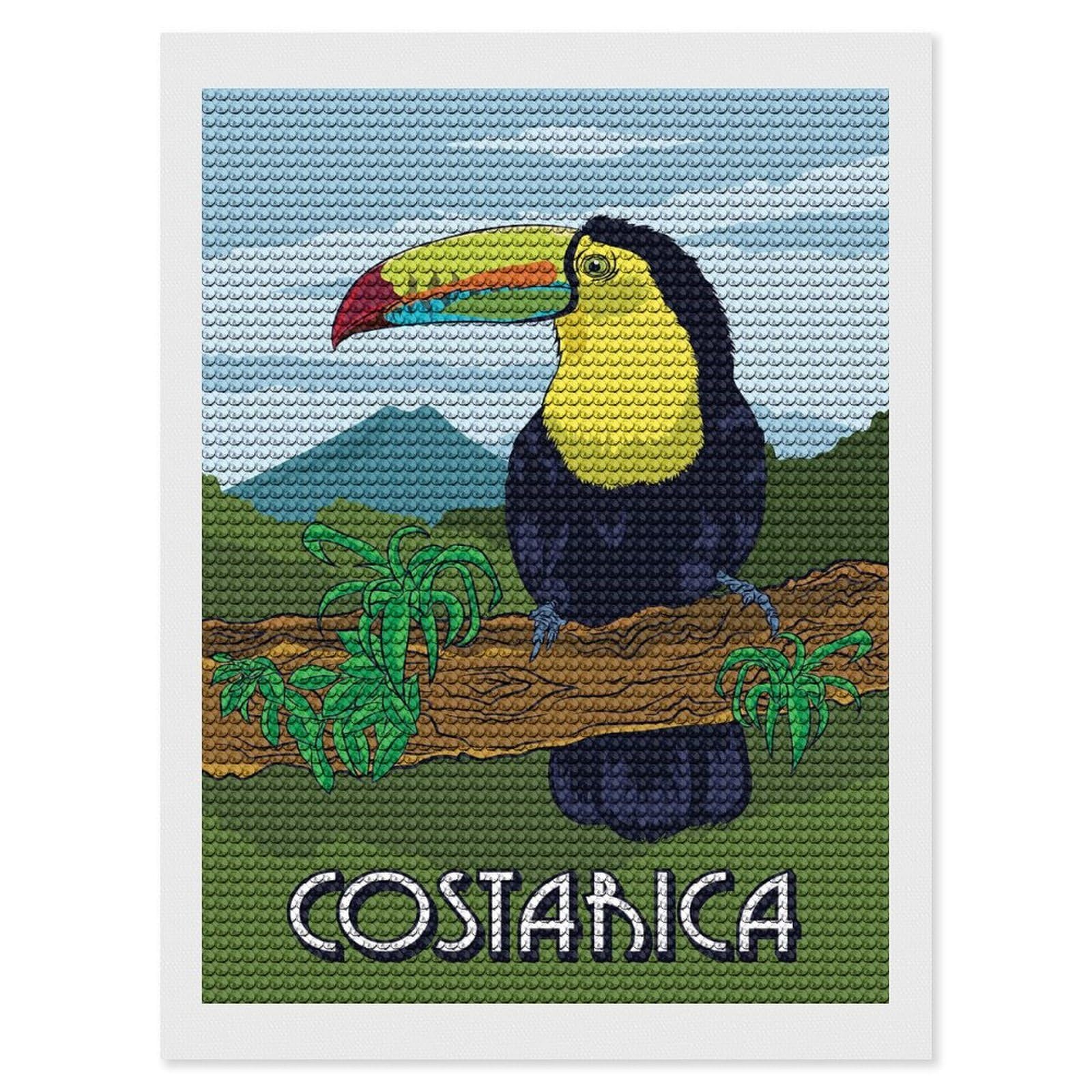 Junmoney Costa Rica DIY Diamond Art Canvas Kit 12"x16", Pleasing Wall Art Project, Easy Handmade Project, Living Room Decor