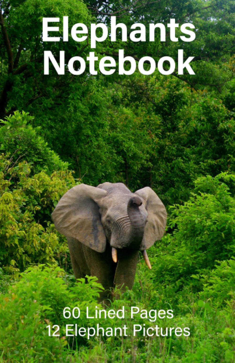 Elephants Notebook: 60 Lined Pages and 12 Elephant Pictures (Cason Notebooks)