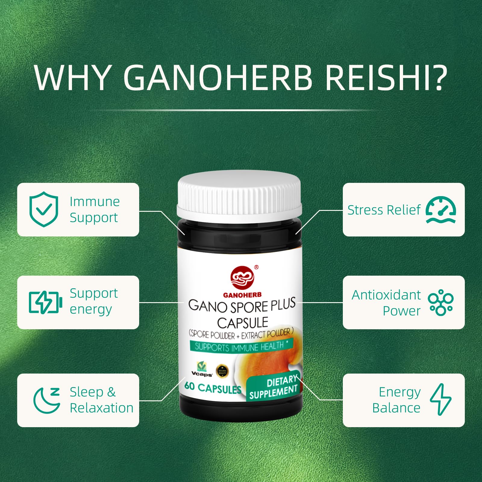 Organic Reishi Mushroom Spore Plus Capsules with 100% Ganoderma Lucidum Spore Powder+ Extract, Vegan, All Natural, Non-GMO & Gluten Free, 60 Veggie Capsules — Amazon image 7