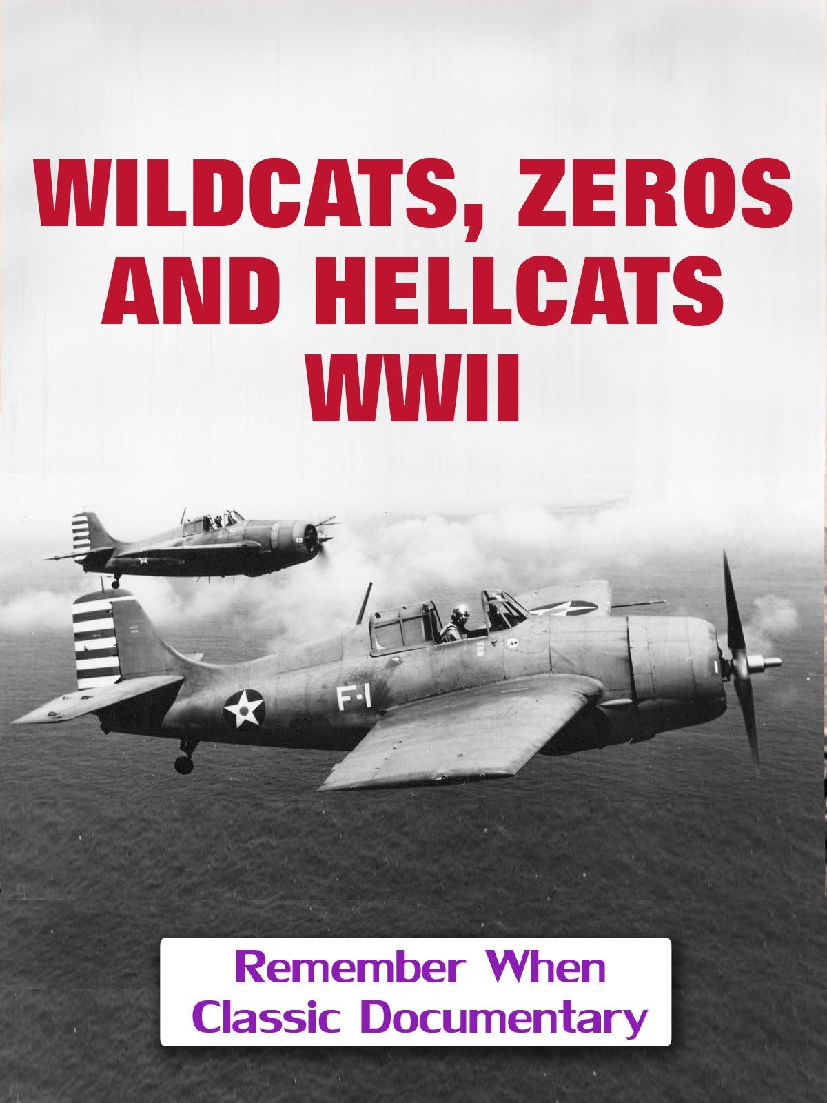 Wildcats, Zeros and Hellcats - WWII