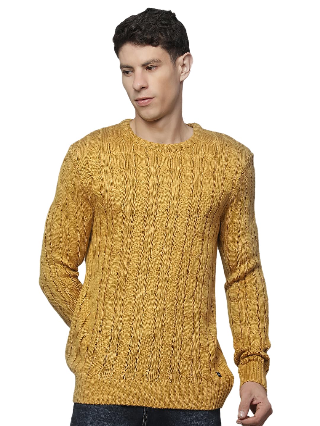cantabil Sweater for Men Mustard-picture-15