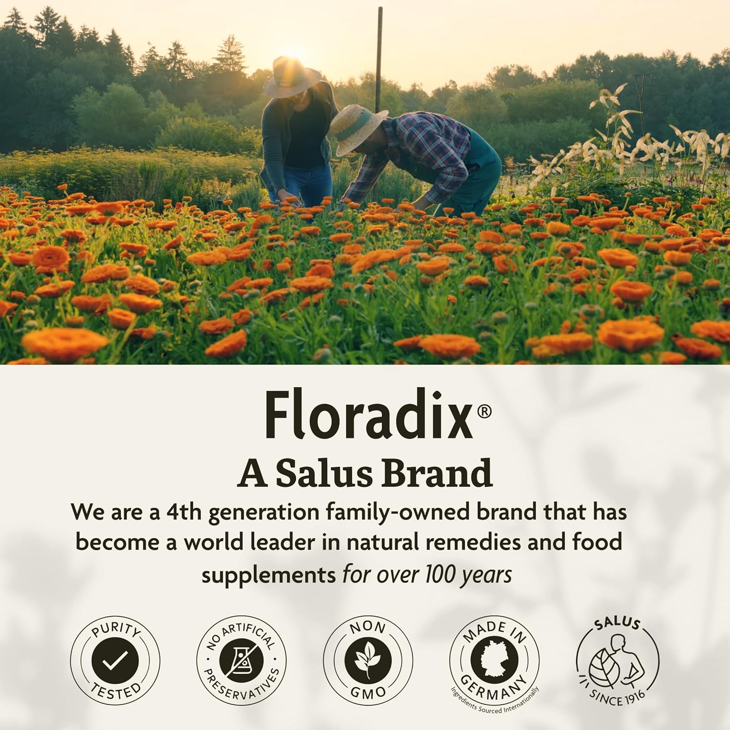 Floradix Calcium Magnesium Liquid Mineral & Vitamin Formula - Bone Support Supplement with Calcium, Magnesium, Vitamin D & Zinc - Vegetarian & Non-GMO - 8.5 fl oz