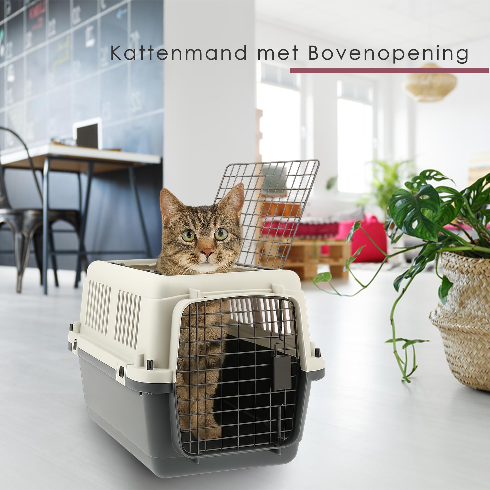 Trasportino per gatti Grande per animali domestici da 12 kg - Trasportino per gatti con serratura - Trasporto portatile gatto/coniglio/cuccioli