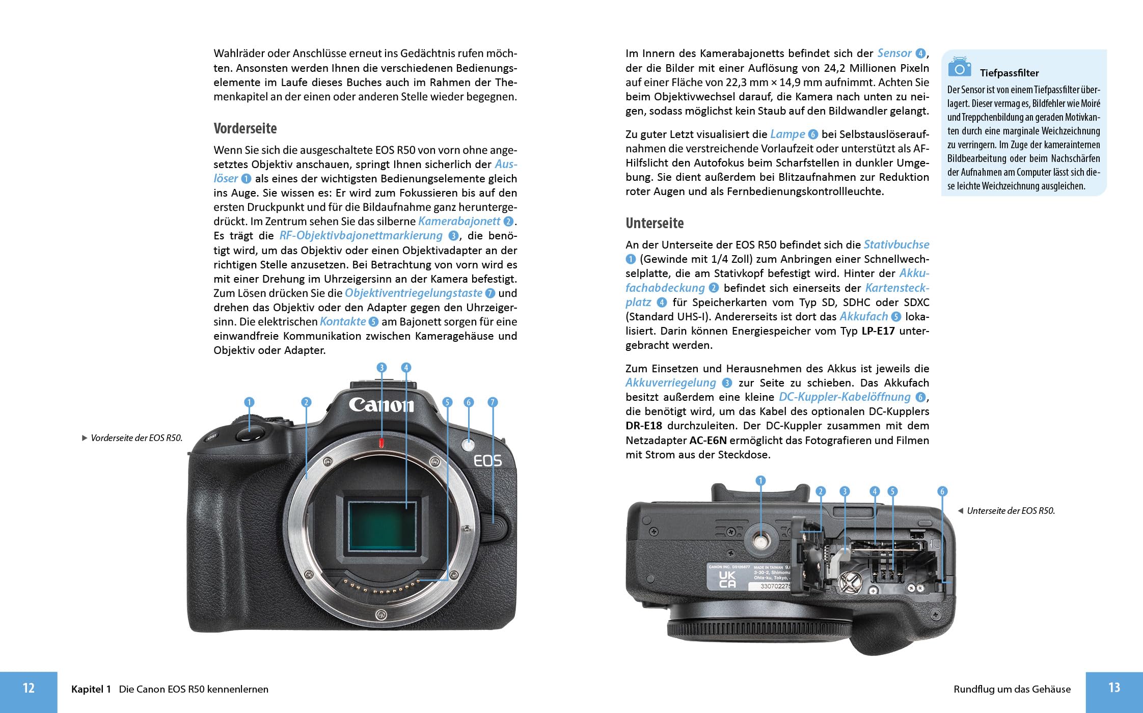 Canon EOS R50: Das umfangreiche Praxisbuch zu Ihrer Kamera!