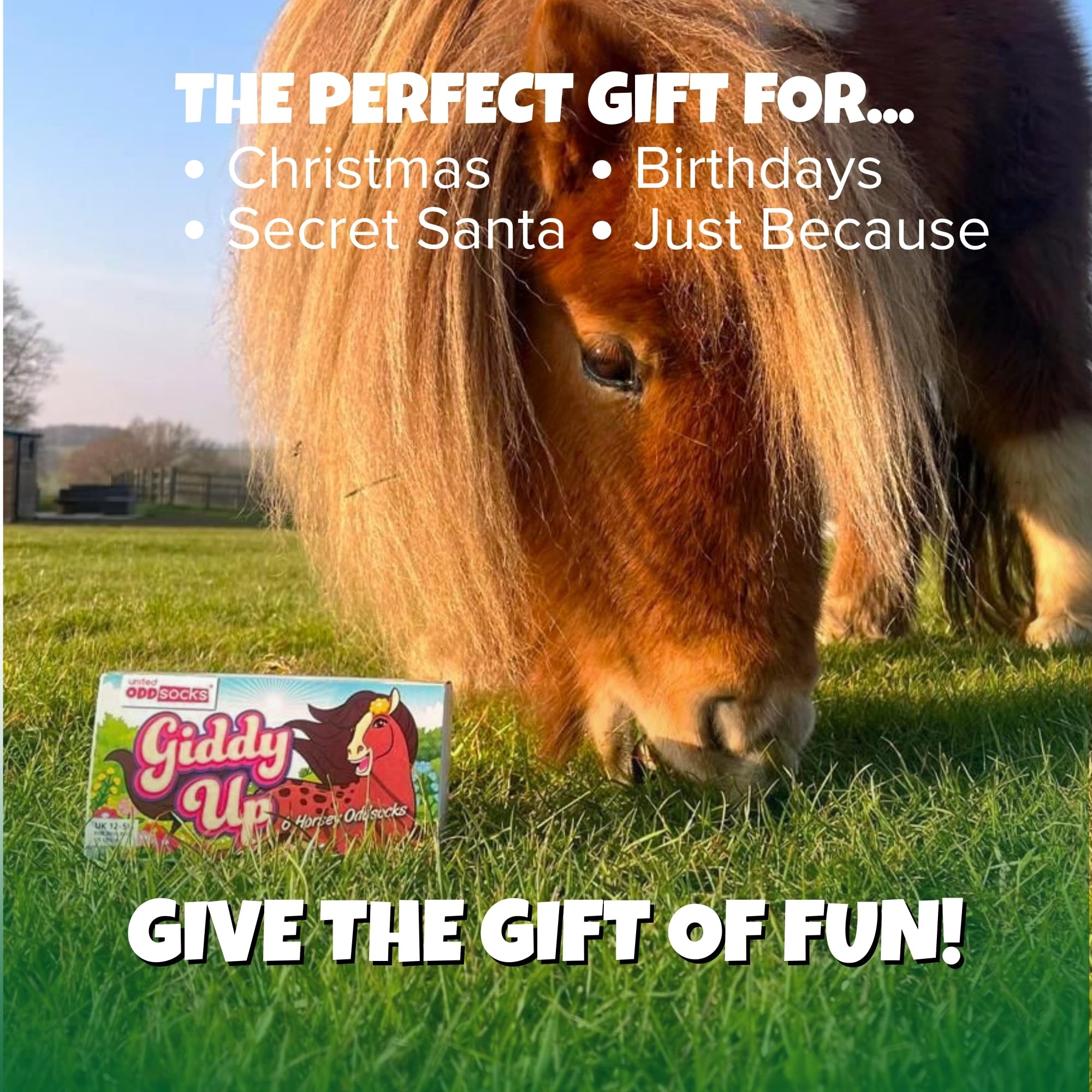 United Oddsocks Giddy Up Box of 6 Horsey Oddsocks For Girls UK 12-5.5 EUR 30.5-38.5